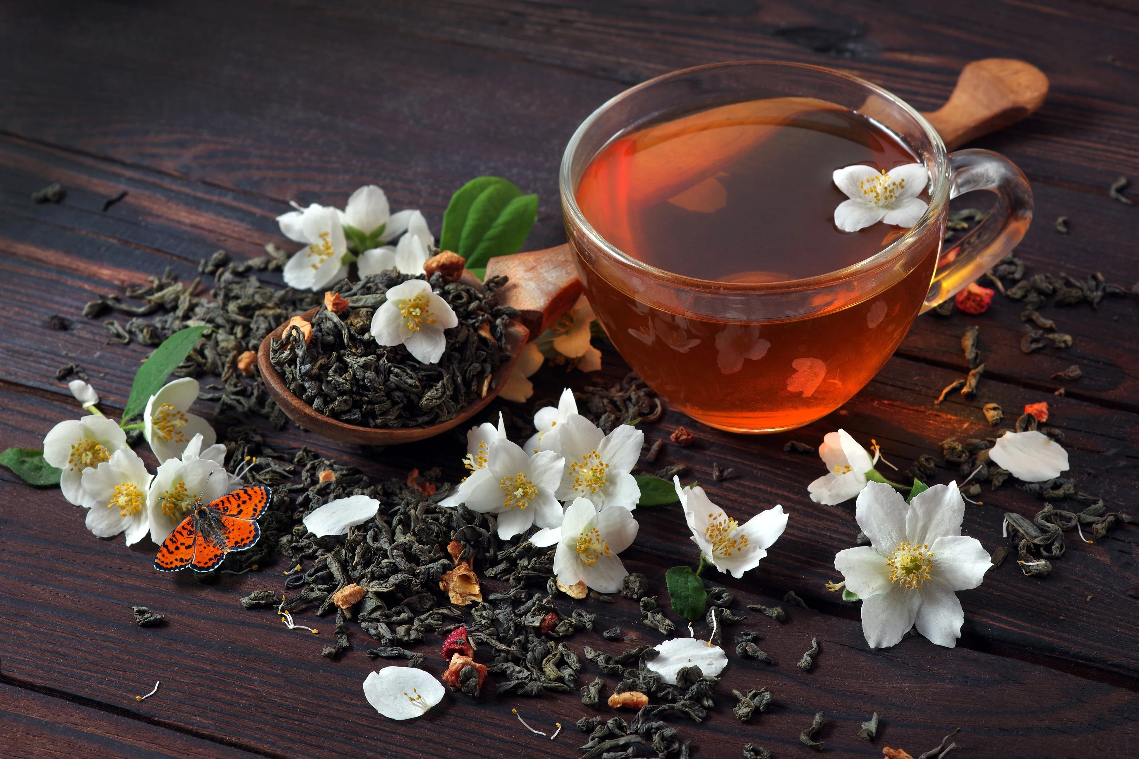 1 Lb Bulk TEA PLANT Black & Green Drinking Tea Camellia Sinensis Tree Shrub Herb Flower - Approx 385 Seeds - Image 2