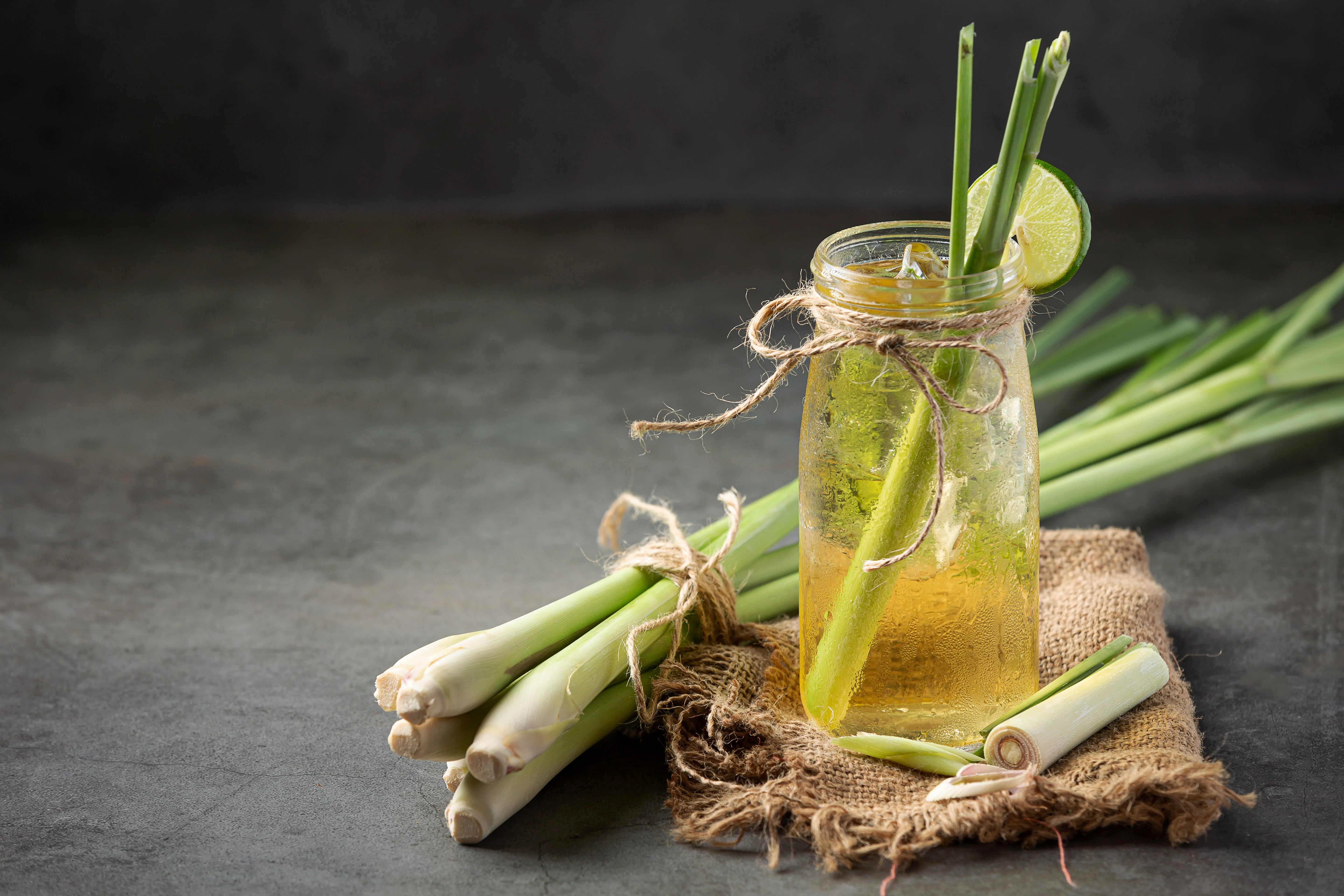 100 LEMONGRASS East Indian Lemon Grass Fragrant Ornamental Edible Cymbopogon Flexuosus Seeds - Image 3