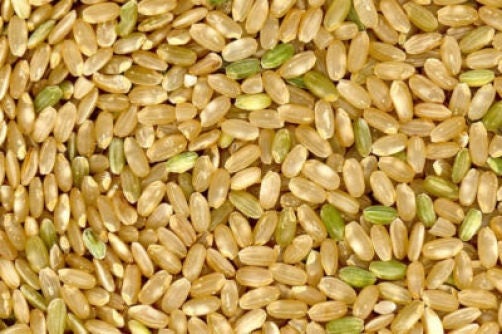 100 Long Grain BROWN WHITE RICE Oryza Sativa Vegetable Seeds - Image 4