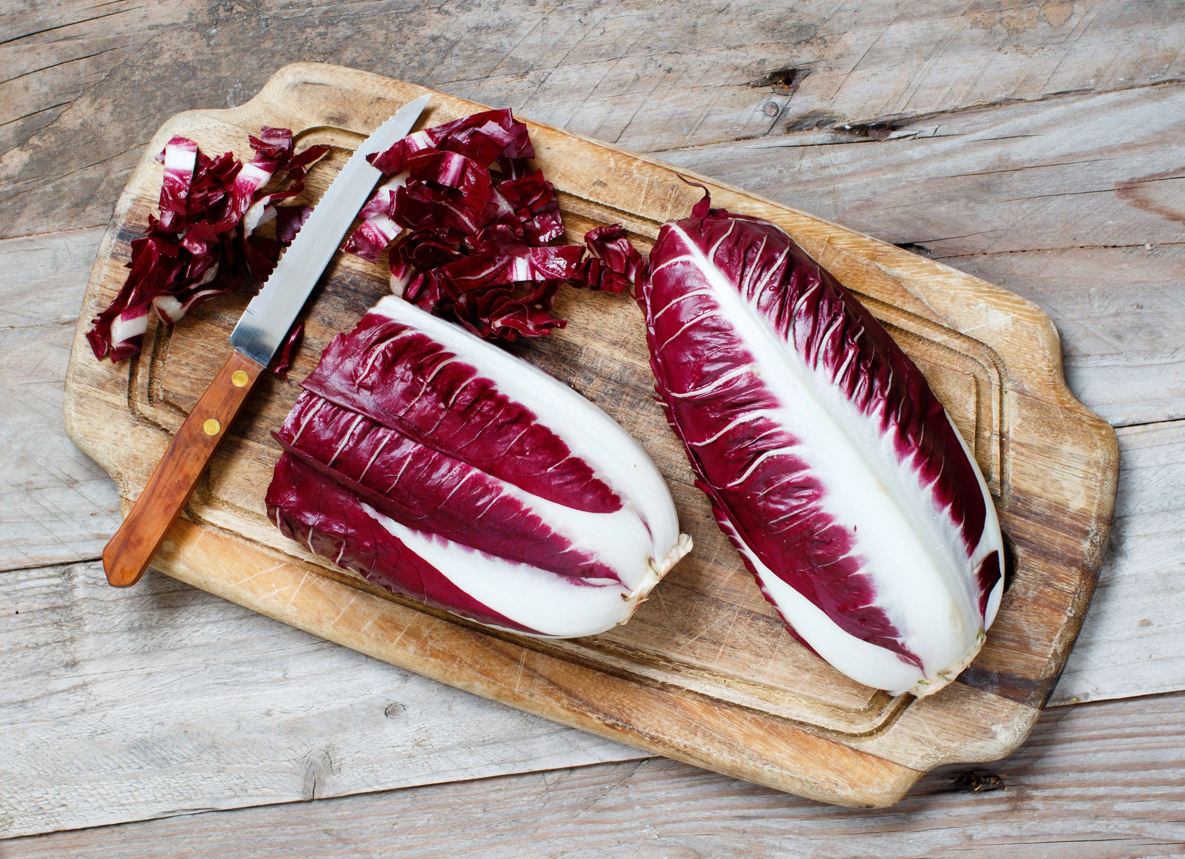 100 RADICCHIO DI TREVISO Radicchio Rose Vegetable Seeds - Image 2