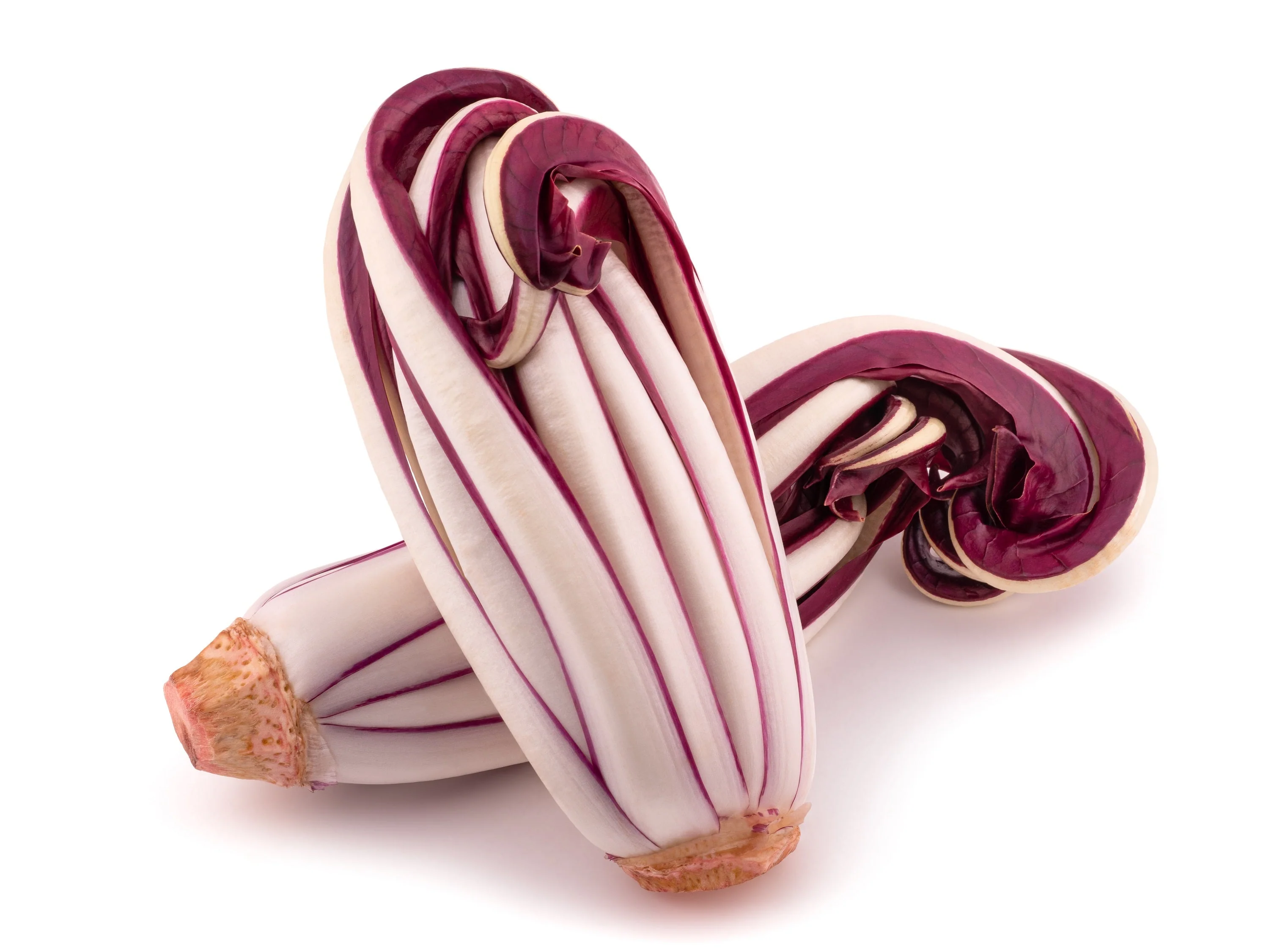 100 RADICCHIO DI TREVISO Radicchio Rose Vegetable Seeds - Image 3