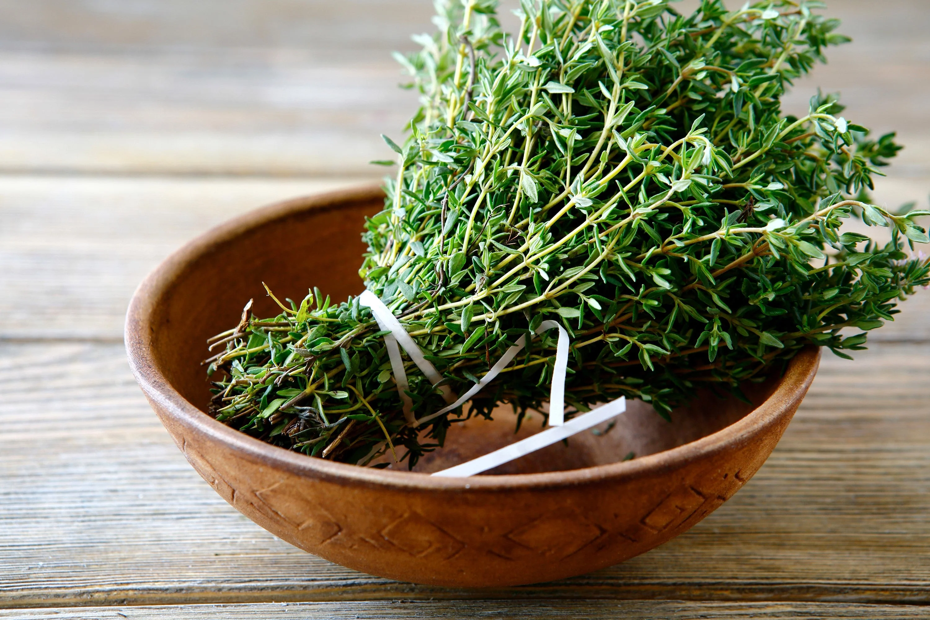 1000 Common GARDEN THYME English, German, French, or Winter Thymus Vulgaris Herb Flower Seeds - Image 5