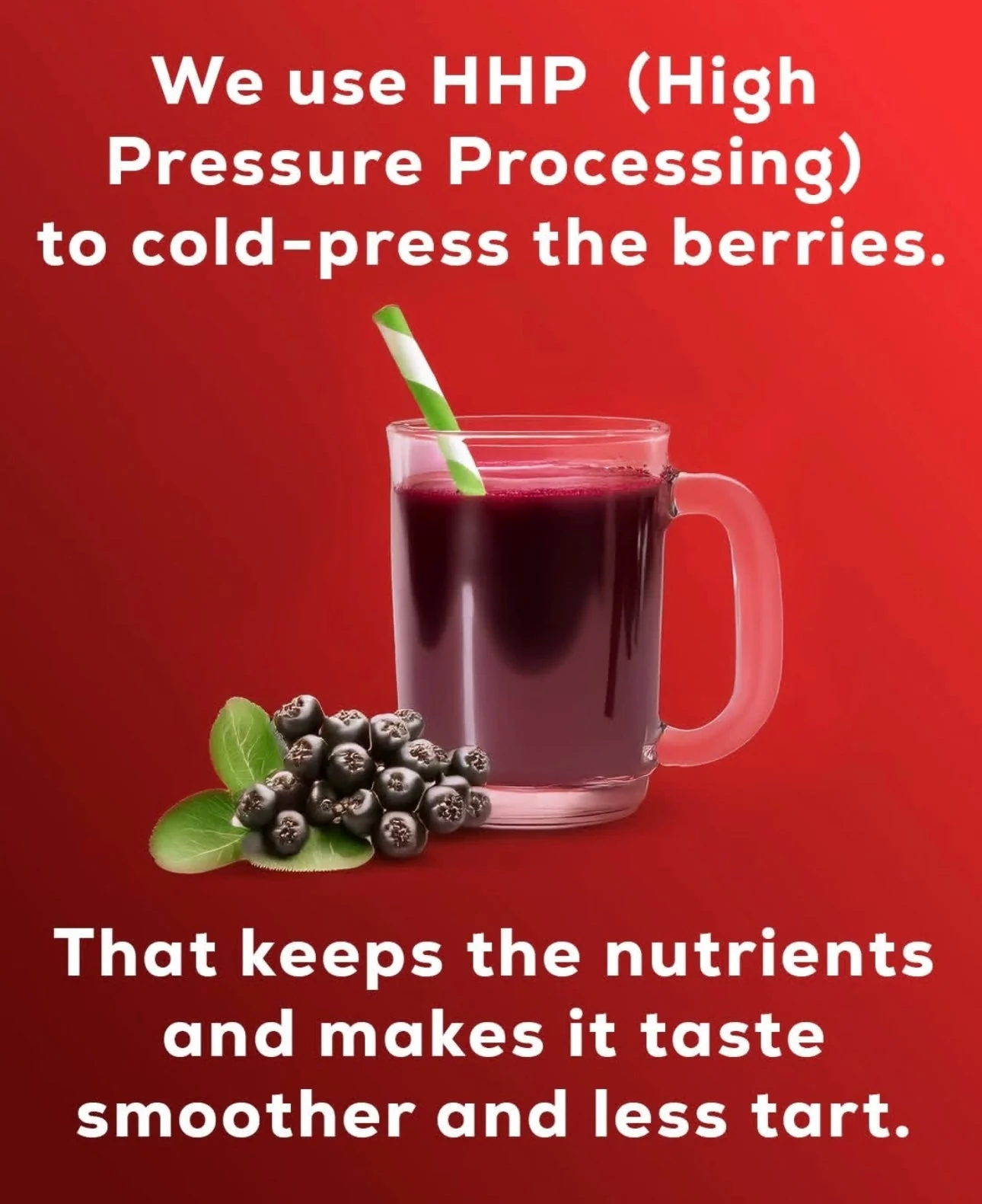 12 Pack AroJuice - Best Tasting Aronia Juice, Best Antioxidant Juice. Best Fruit Juice for Family - Image 5