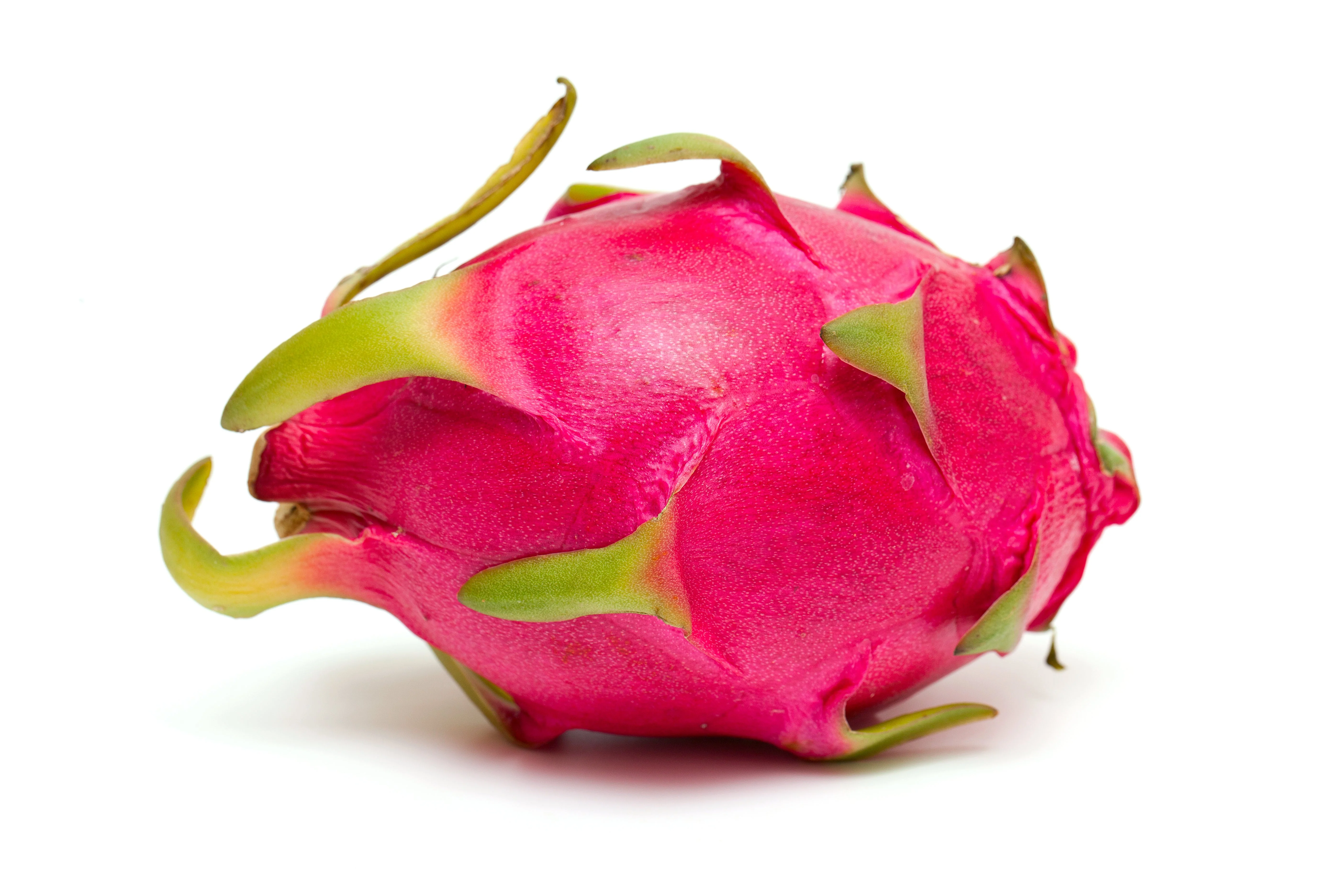 20 PURPLE DRAGON FRUIT (Pitaya / Pitahaya / Strawberry Pear) Hylocereus Undatus Cactus Seeds - Image 4