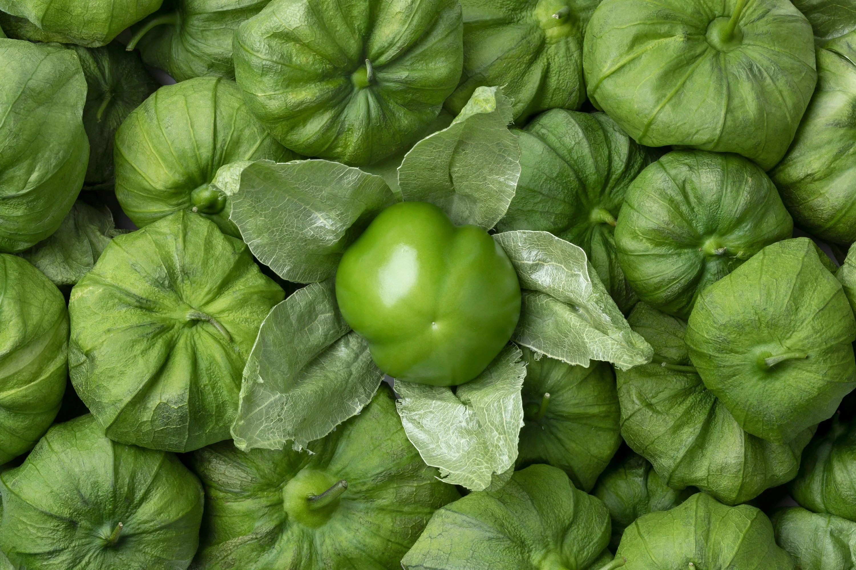 200 GRANDE Rio VERDE TOMATILLO Green Physalis Ixocarpa Vegetable Seeds - Image 8