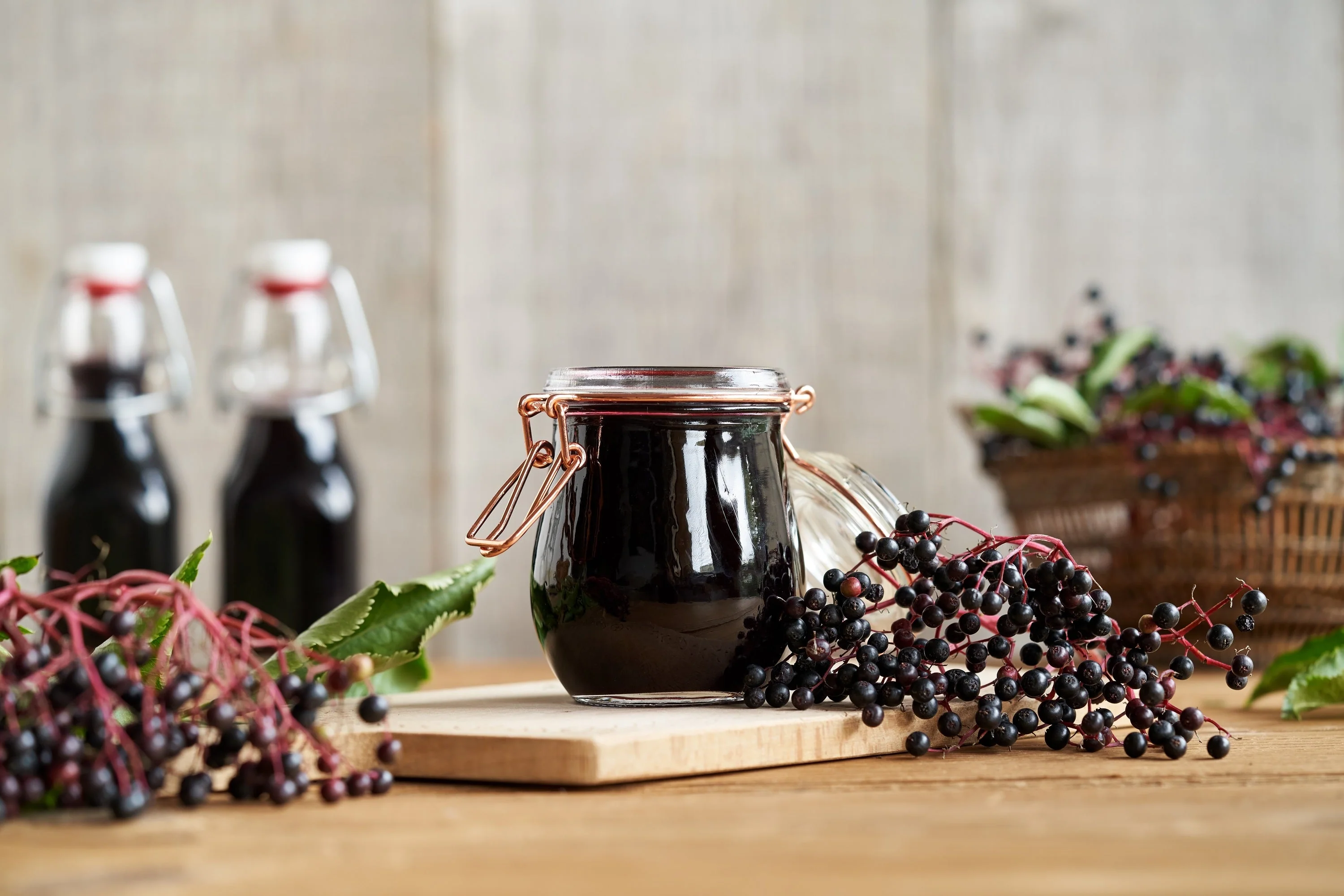 25 American ELDERBERRY FRUIT BUSH Shrub Tree Sambucus Nigra Canadensis Seeds - Image 9