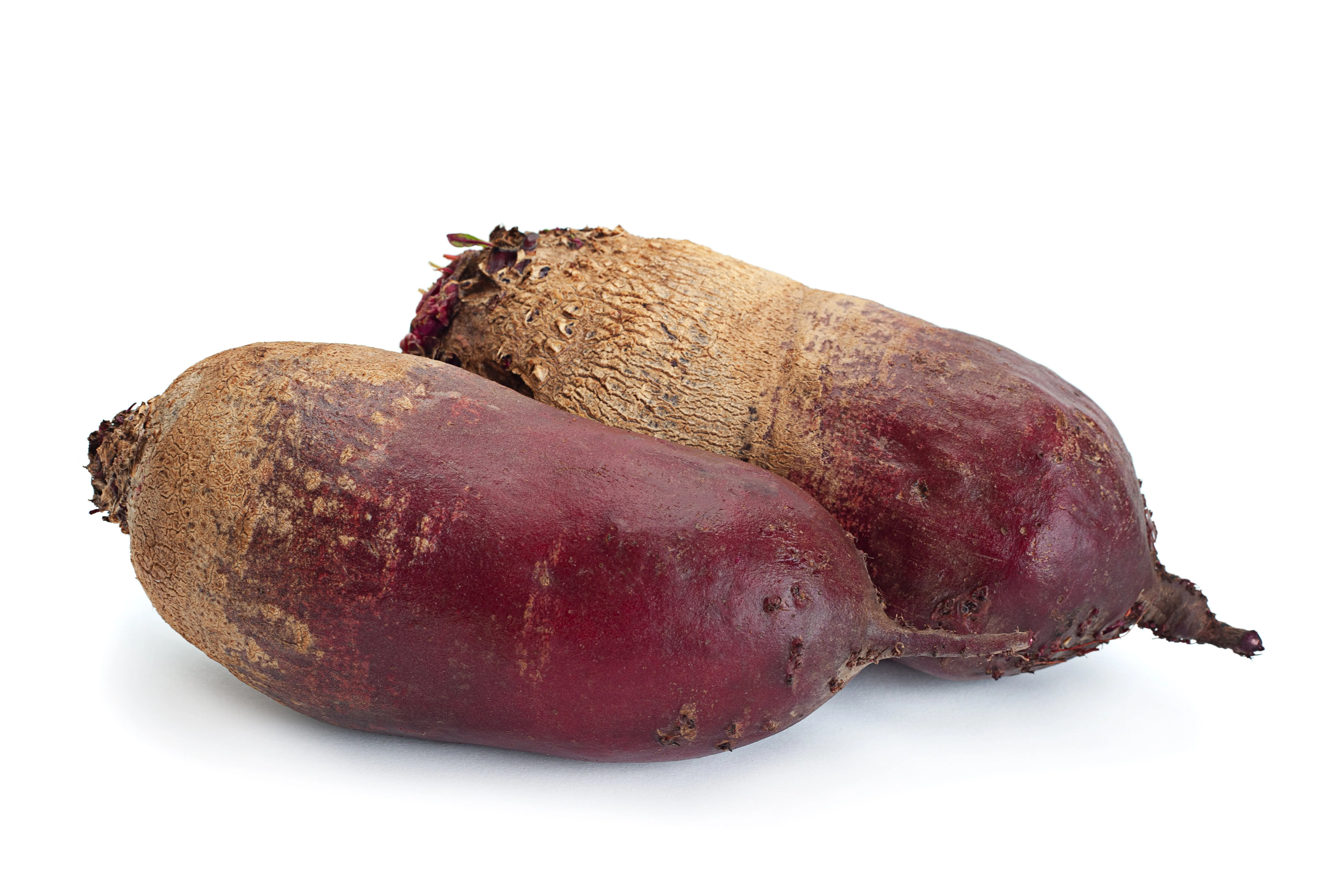 250 CYLINDRA BEET Beta Vulgaris Vegetable Seeds - Image 8