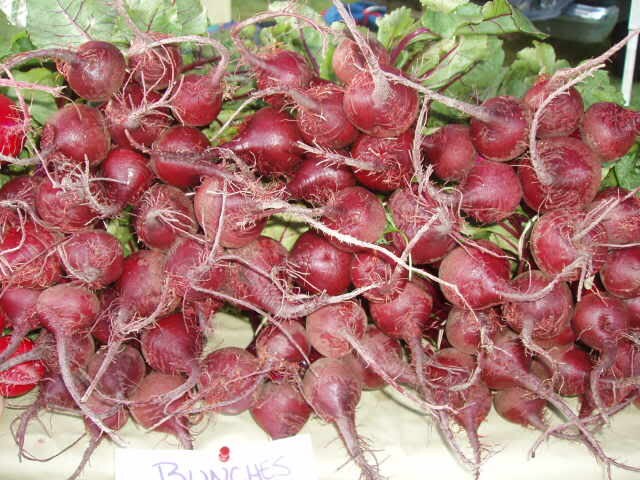 250 EARLY WONDER BEET Beta Vulgaris Vegetable Seeds - Image 4