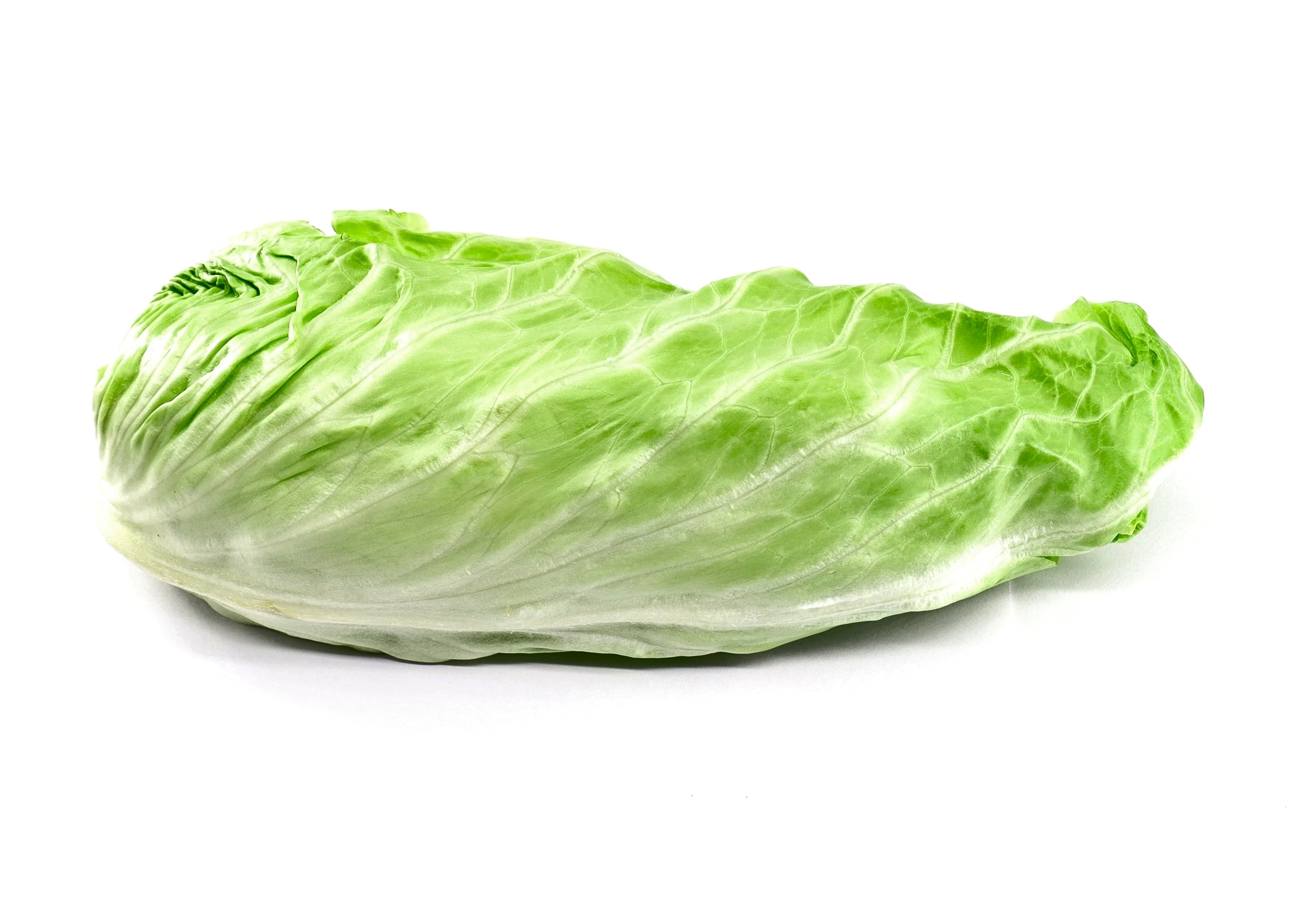 250 SUGAR LOAF ENDIVE Radicchio Escarole Cichorium Intybus Green Vegetable Seeds - Image 5