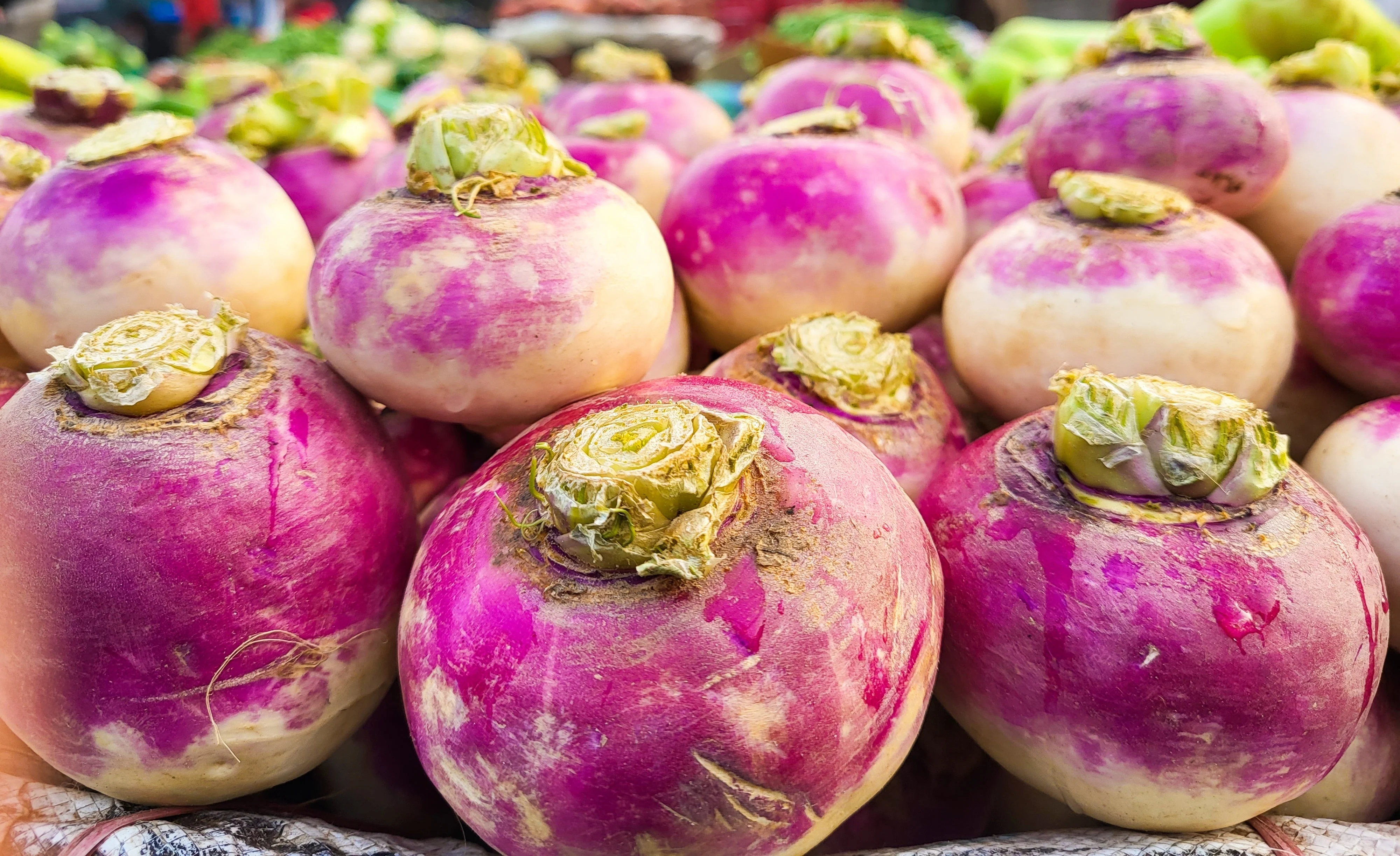 3000 PURPLE Top WHITE Globe TURNIP Brassica Rapa Vegetable Seeds - Image 5