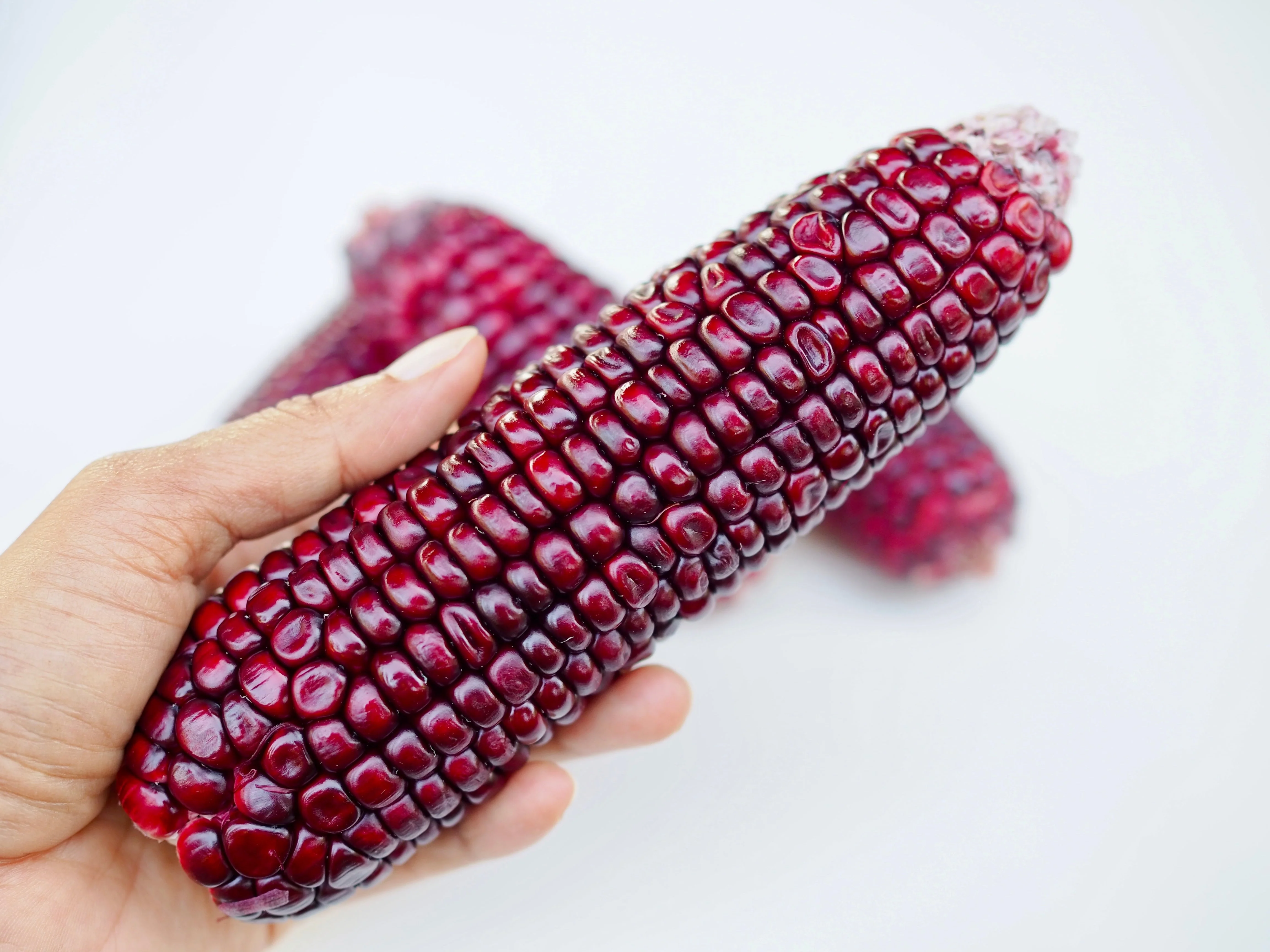35 BLOODY BUTCHER Red CORN Edible & Ornamental Heirloom Zea Mays Vegetable Seeds - Image 9