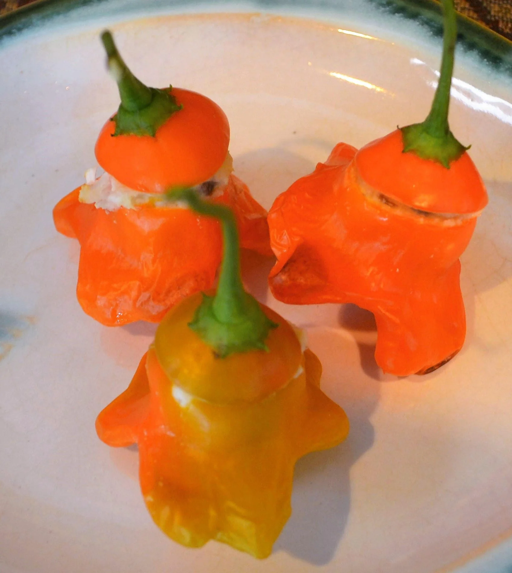 40 Orange SCOTCH BONNET PEPPER very hot Jamaican Capsicum Chinense Vegetable Seeds - Image 2