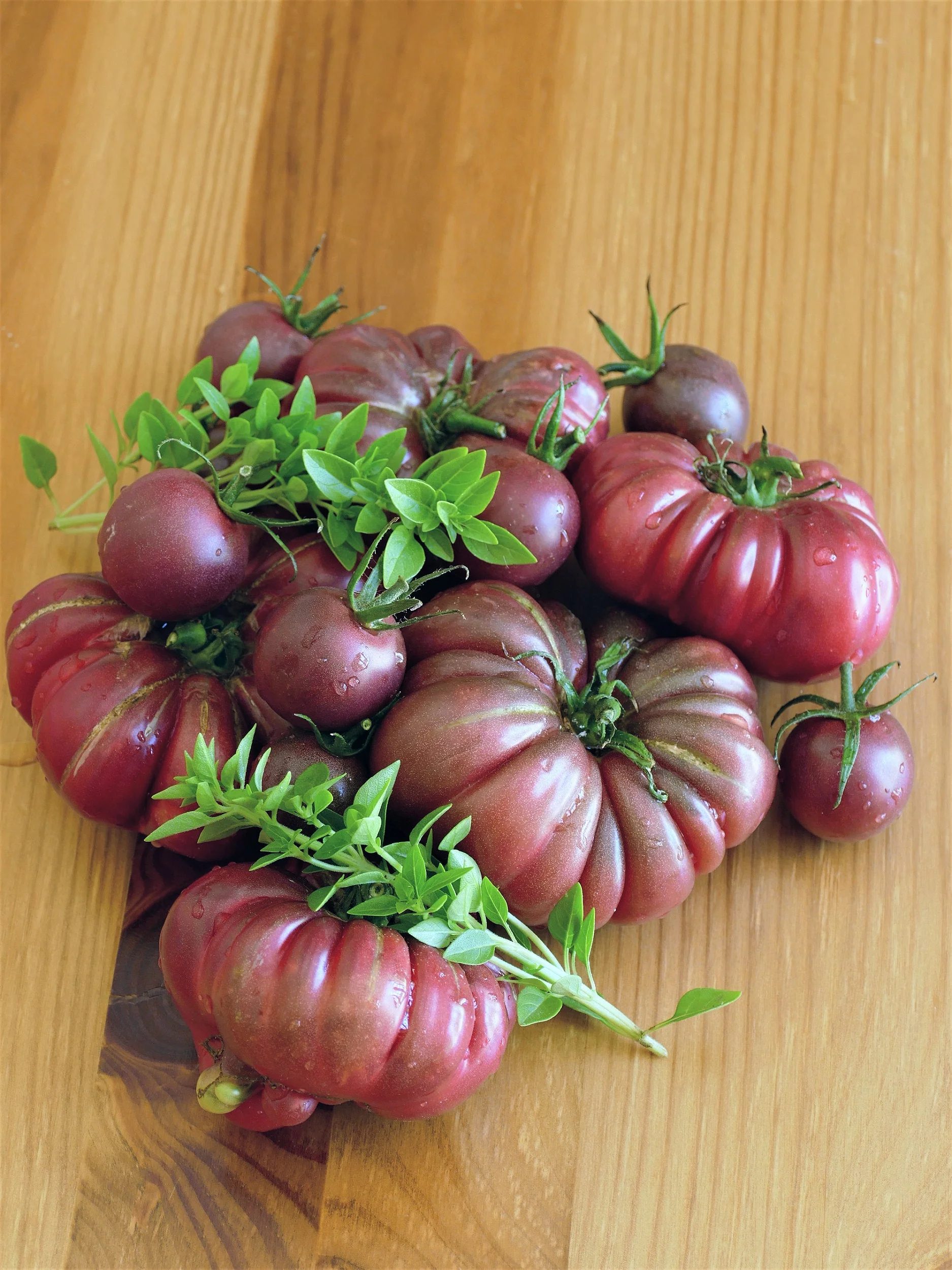 40 PURPLE CALABASH TOMATO Solanum Lycopersicum Indeterminate Heirloom Beefsteak Fruit Vegetable Seeds - Image 2