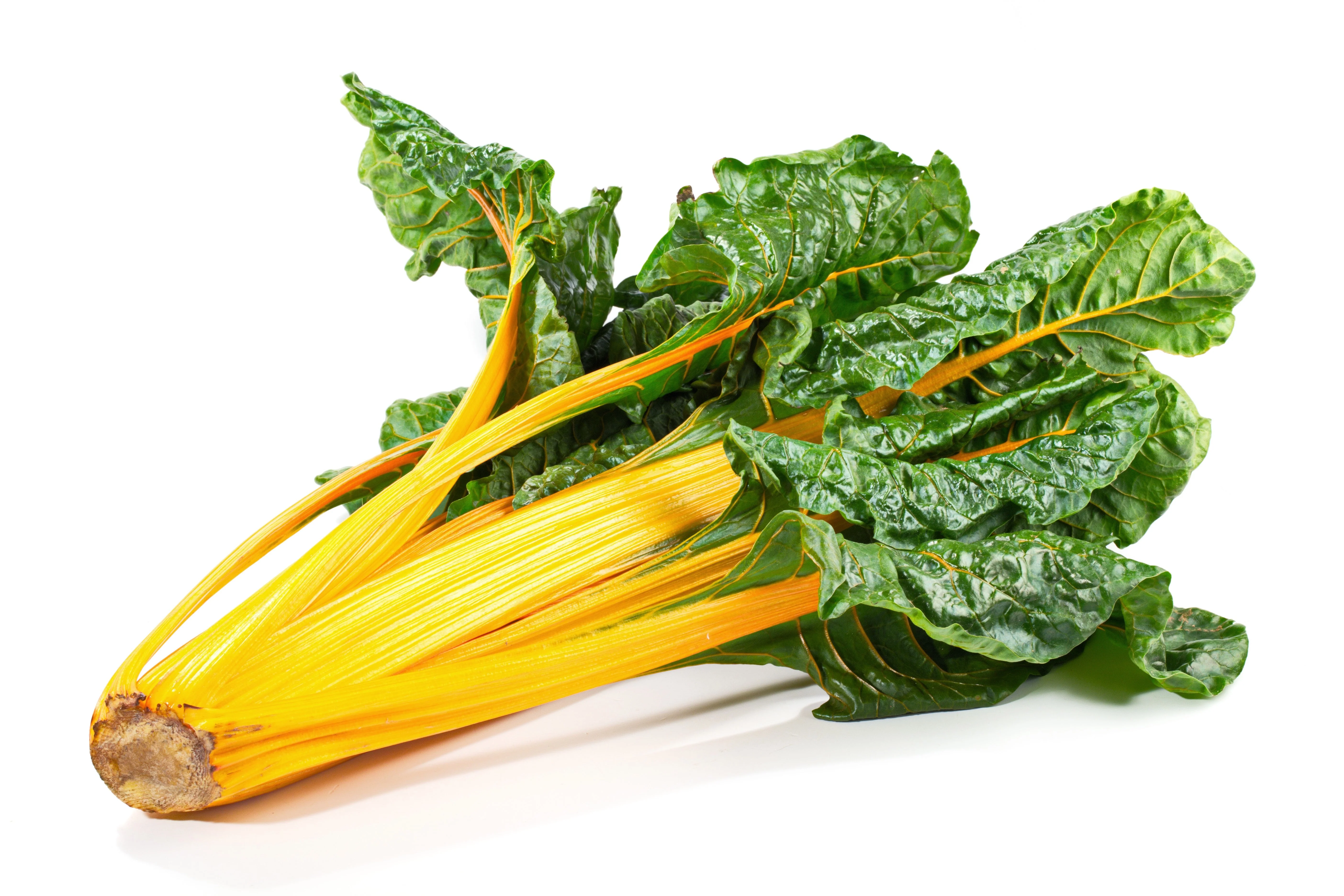 40 YELLOW CANARY SWISS CHARD Beta Vulgaris Perpetual Spinach Vegetable Seeds - Image 3