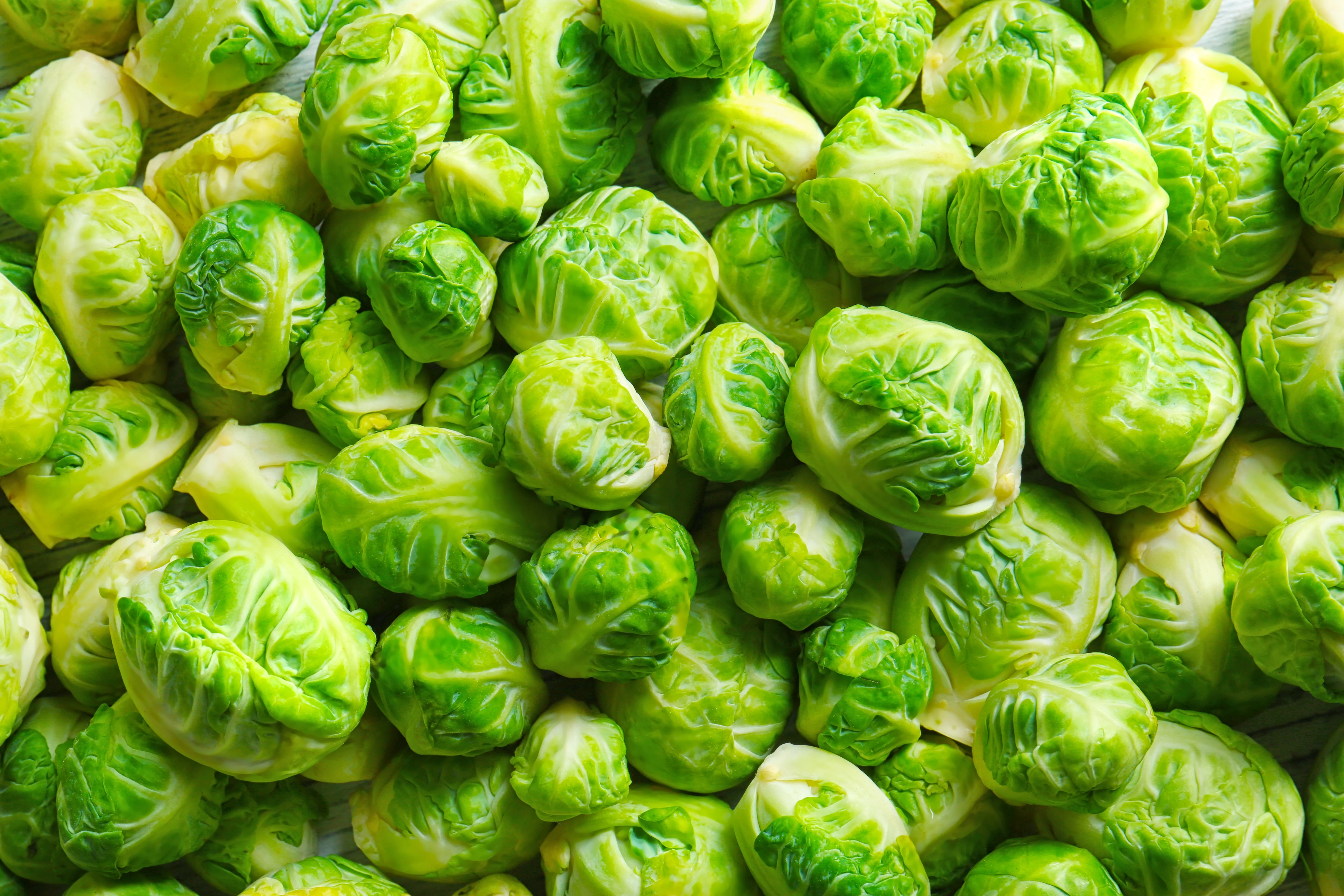 400 CATSKILL BRUSSEL SPROUT Sprouts Brassica Oleracea Vegetable Seeds - Image 4