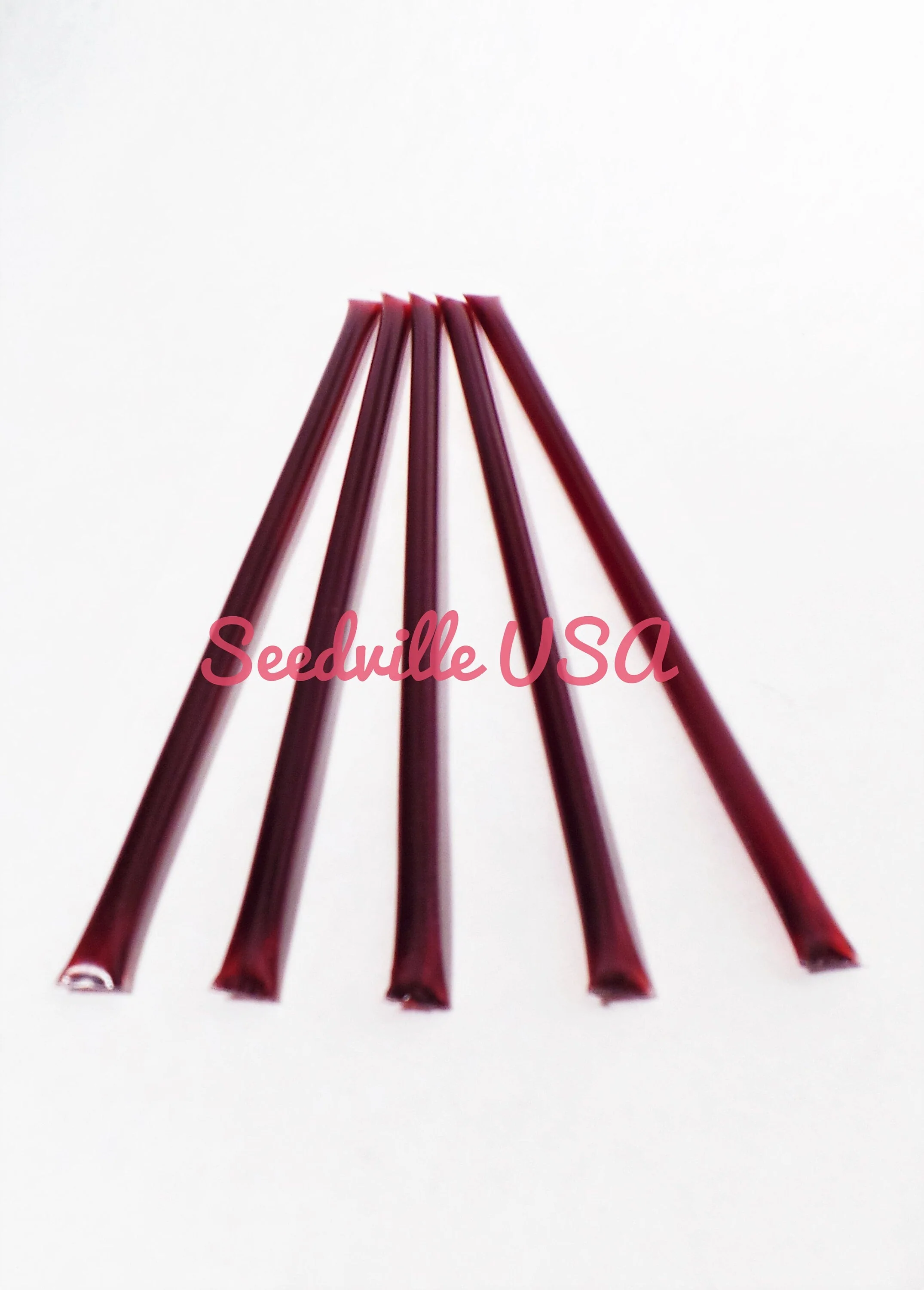 5 Pack BLACKBERRY HONEY TEASERS Natural Honey Snack Sticks Honeystix Straws - Image 2