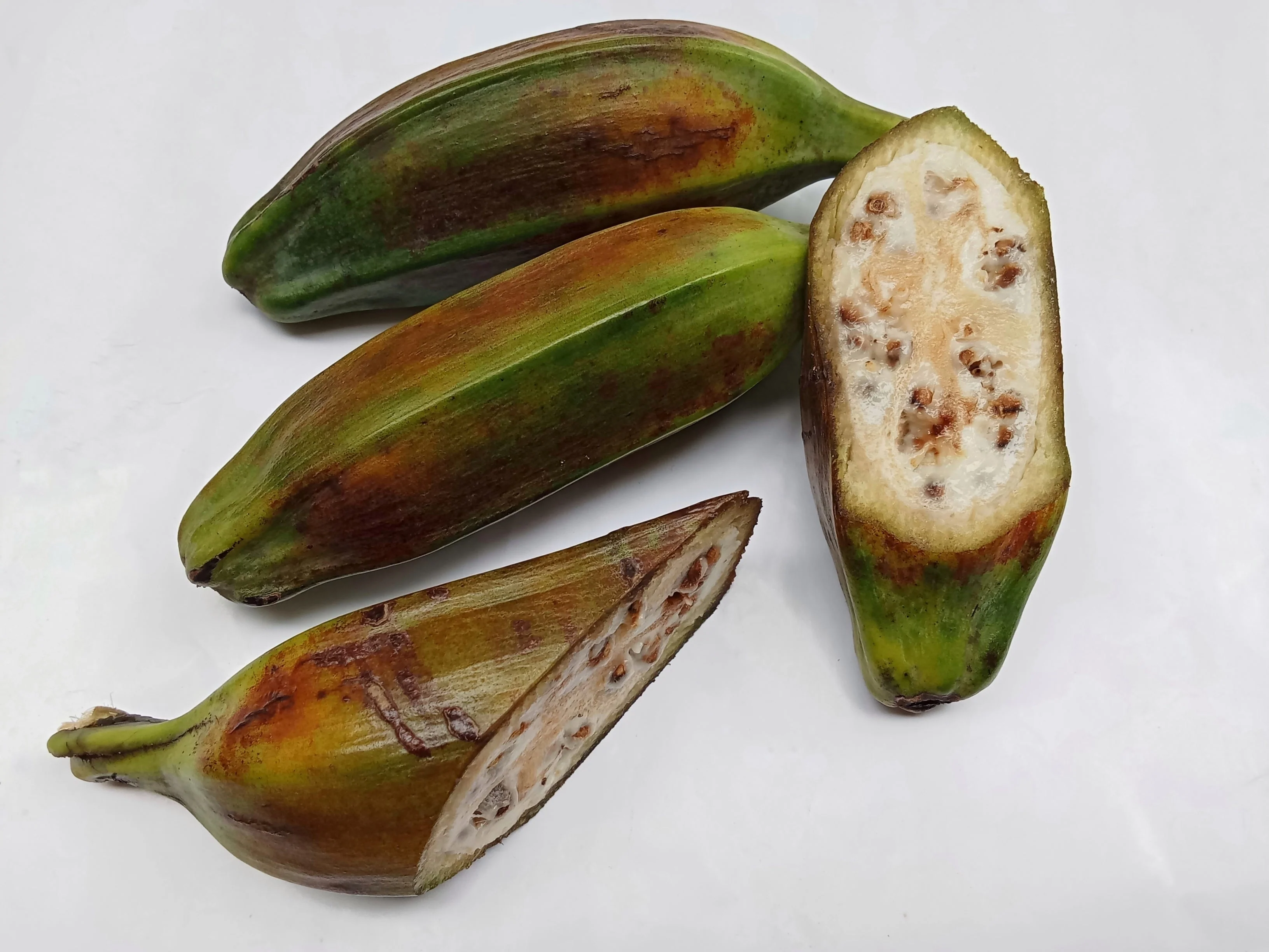 5 PLANTAIN BANANA Musa Balbisiana Hardy Red Flowering Sweet Wild Fruit Tree Seeds - Image 10