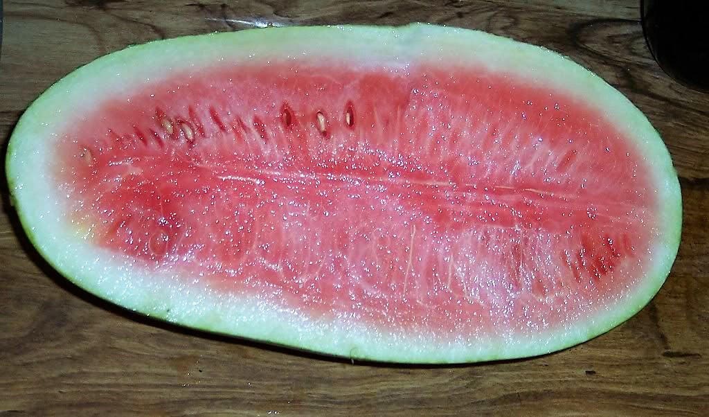 50 CONGO WATERMELON Red Citrullus Lanatus 40 lbs AAS Winner Fruit Melon Seeds - Image 2