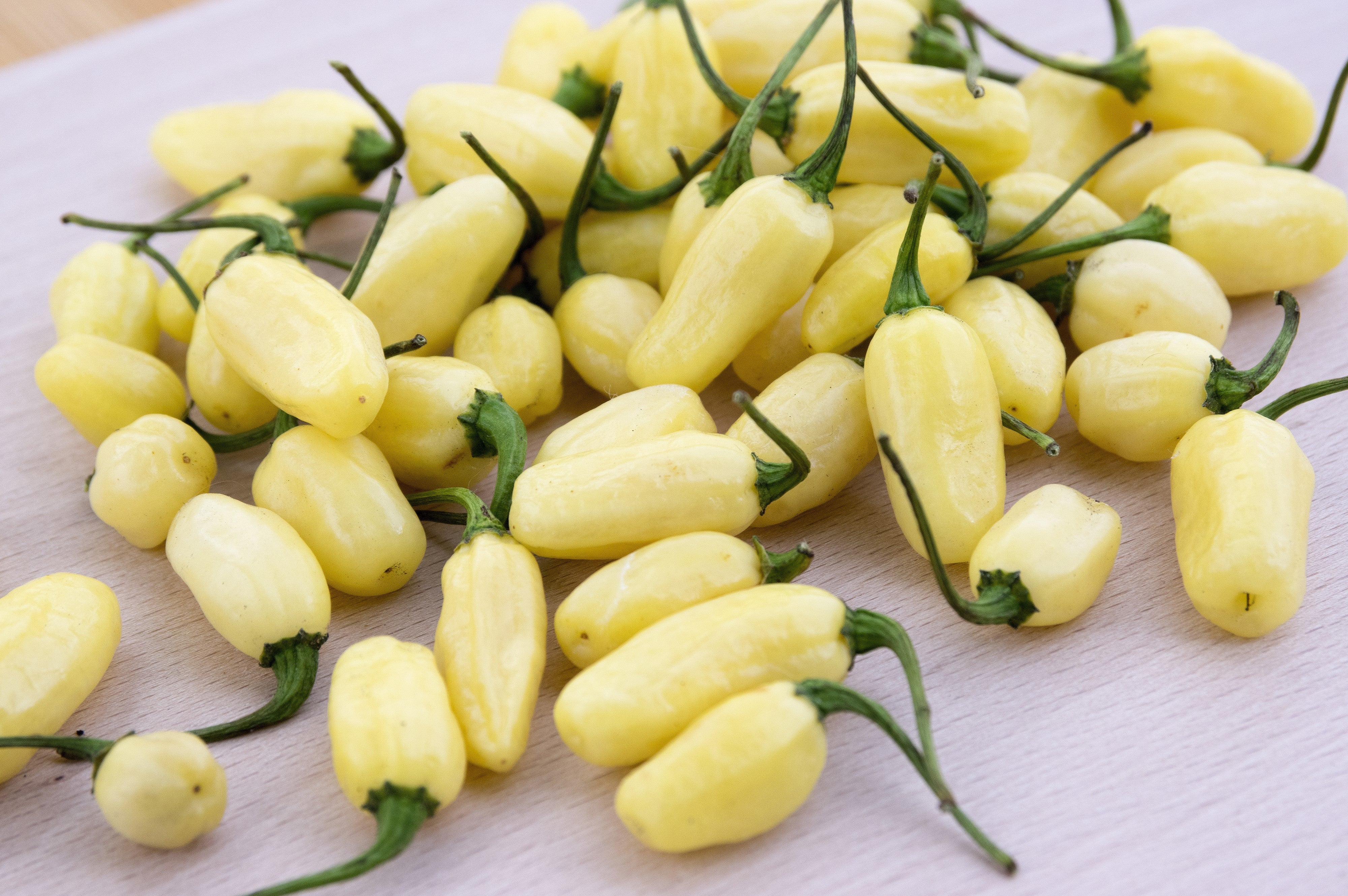 50 Hot WHITE HABANERO PEPPER Capsicum Chinense Vegetable Seeds - Image 3
