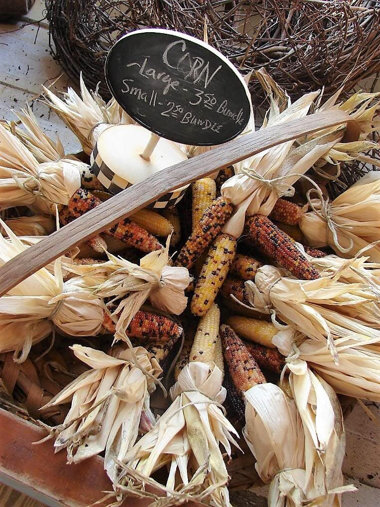 50 Indian MINI MIX CORN Miniature 4" Ears Ornamental Zea Mays Vegetable Seeds - Image 3