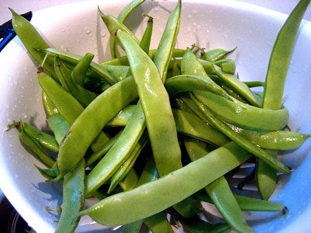 50 ROMA Italian GREEN BEAN Phaseolus Vulgaris Vegetable Seeds - Image 3