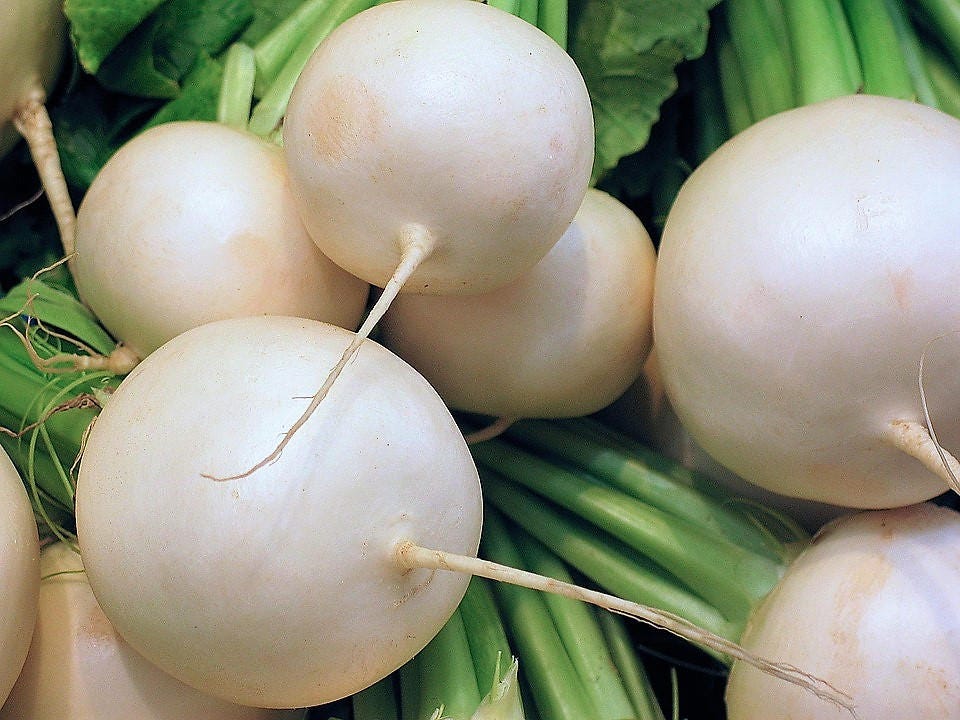 500 Hailstone WHITE GLOBE RADISH Raphanus Sativus Vegetable Seeds - Image 2
