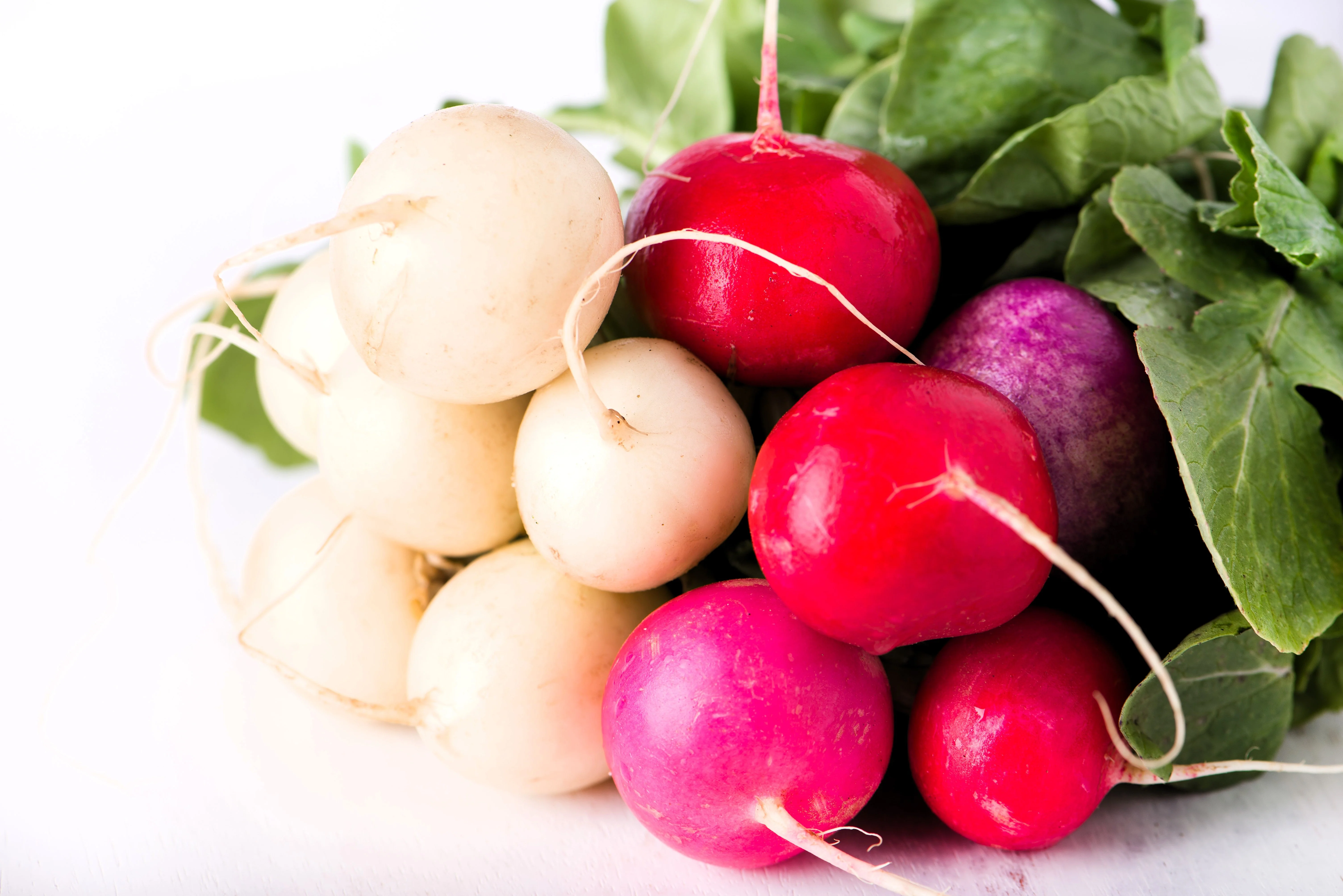 500 Mixed Colors EASTER EGG RADISH Raphanus Sativus Vegetable Seeds - Image 8