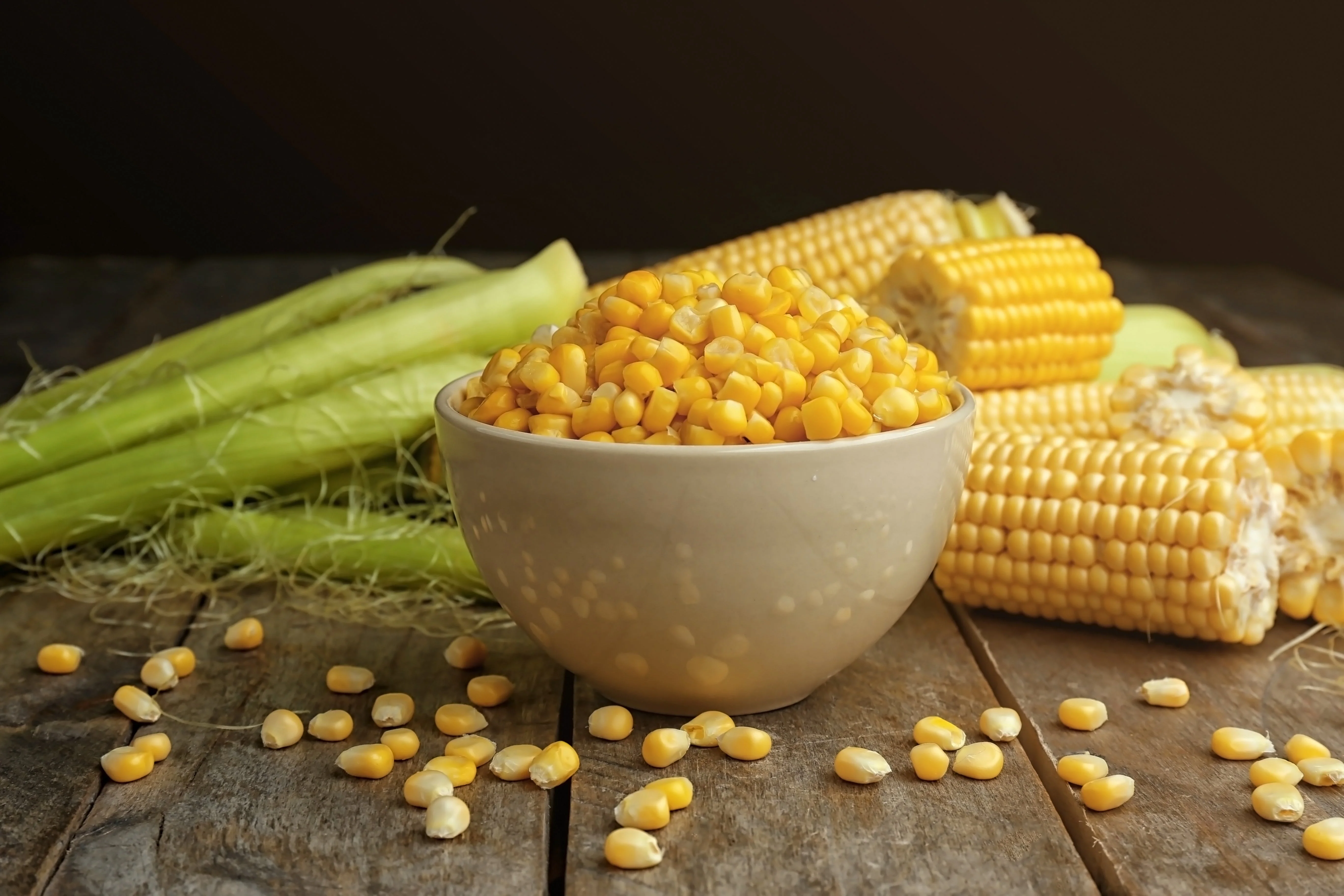60 YELLOW CORN ' Early Xtra Sweet ' Zea Mays Vegetable Seeds - Image 6