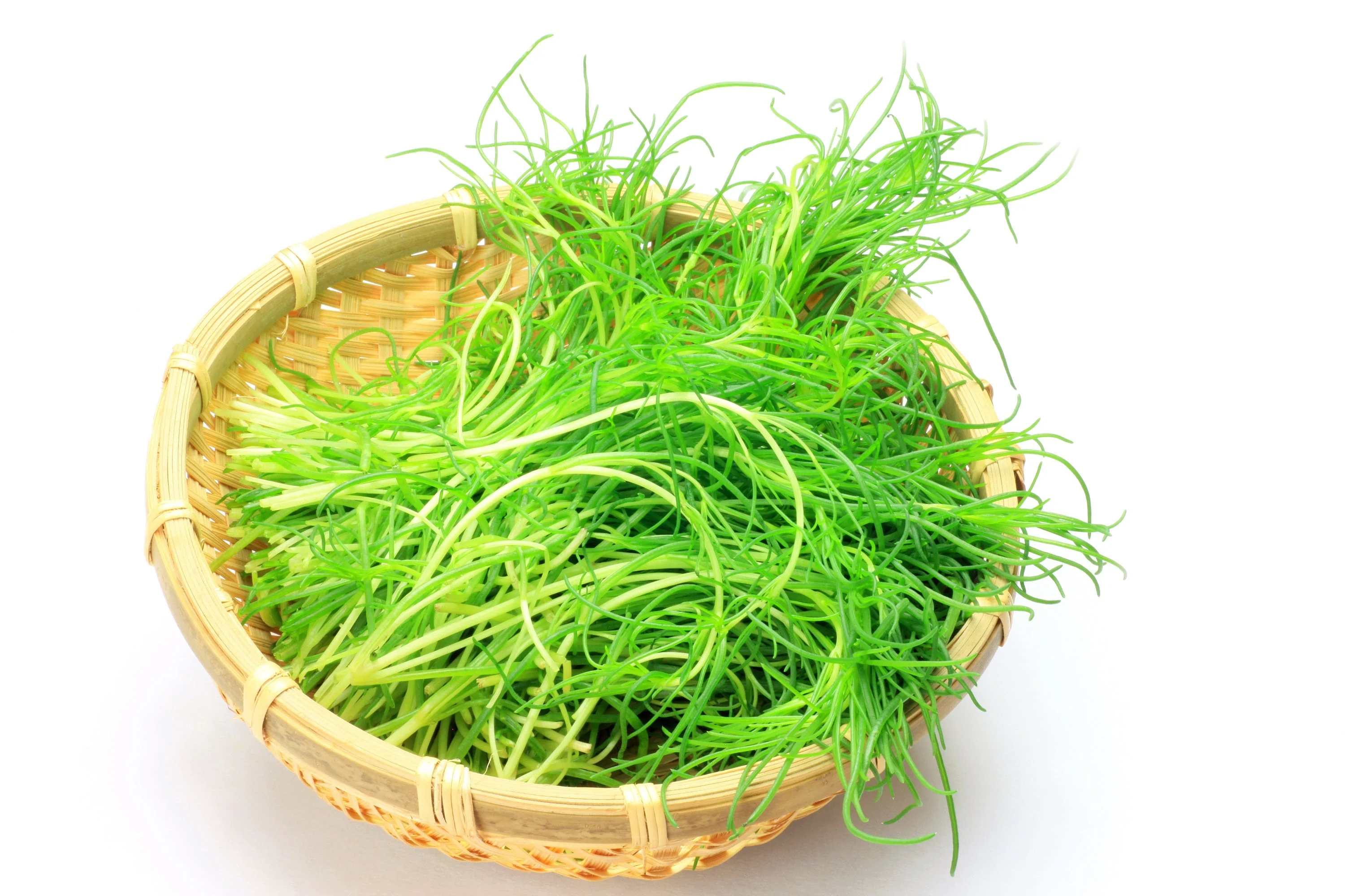 75 SALTWORT Okahijiki Japanese Greens Salsola Komarovii Leaf Vegetable Seeds