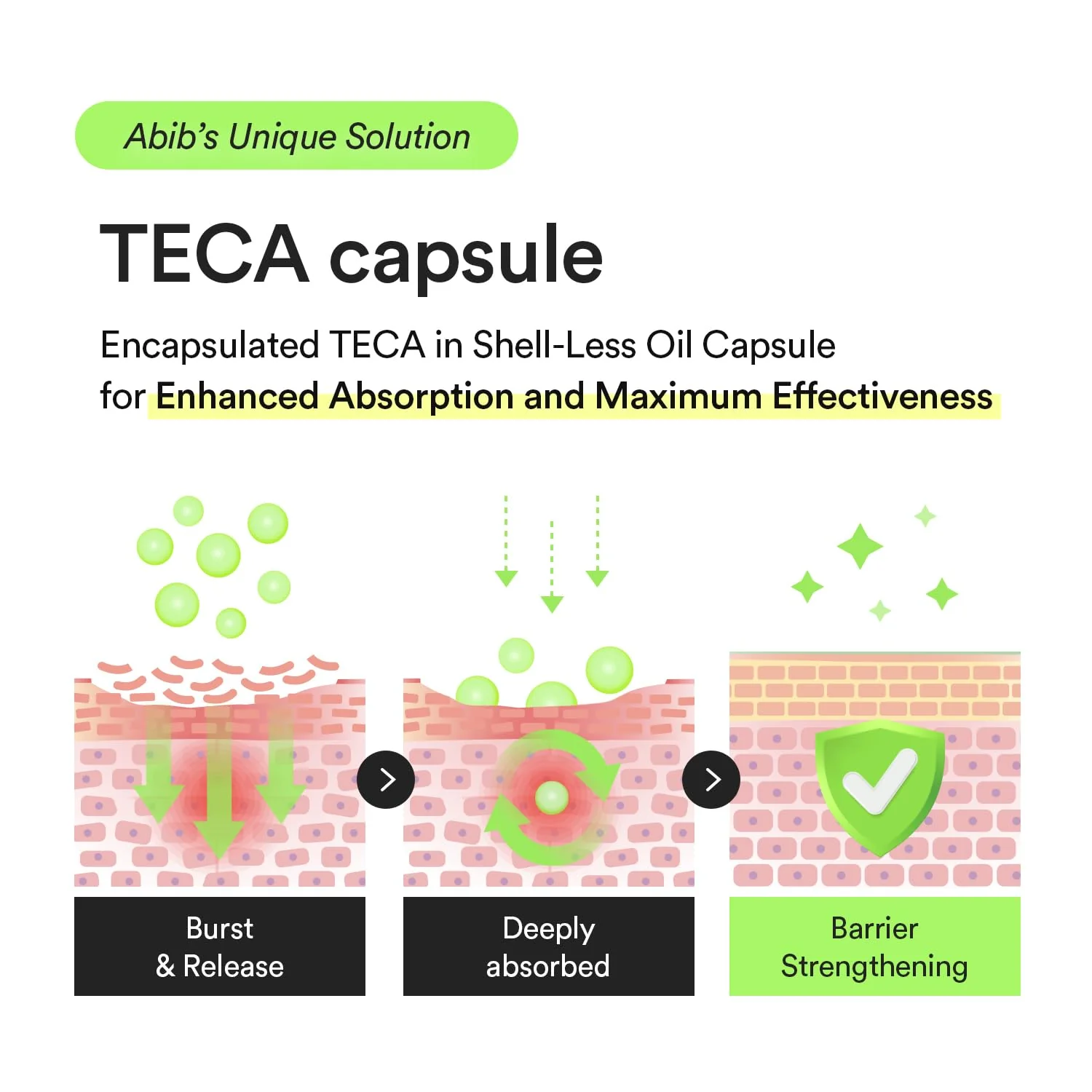 Abib Heartleaf TECA Capsule Serum - Image 5