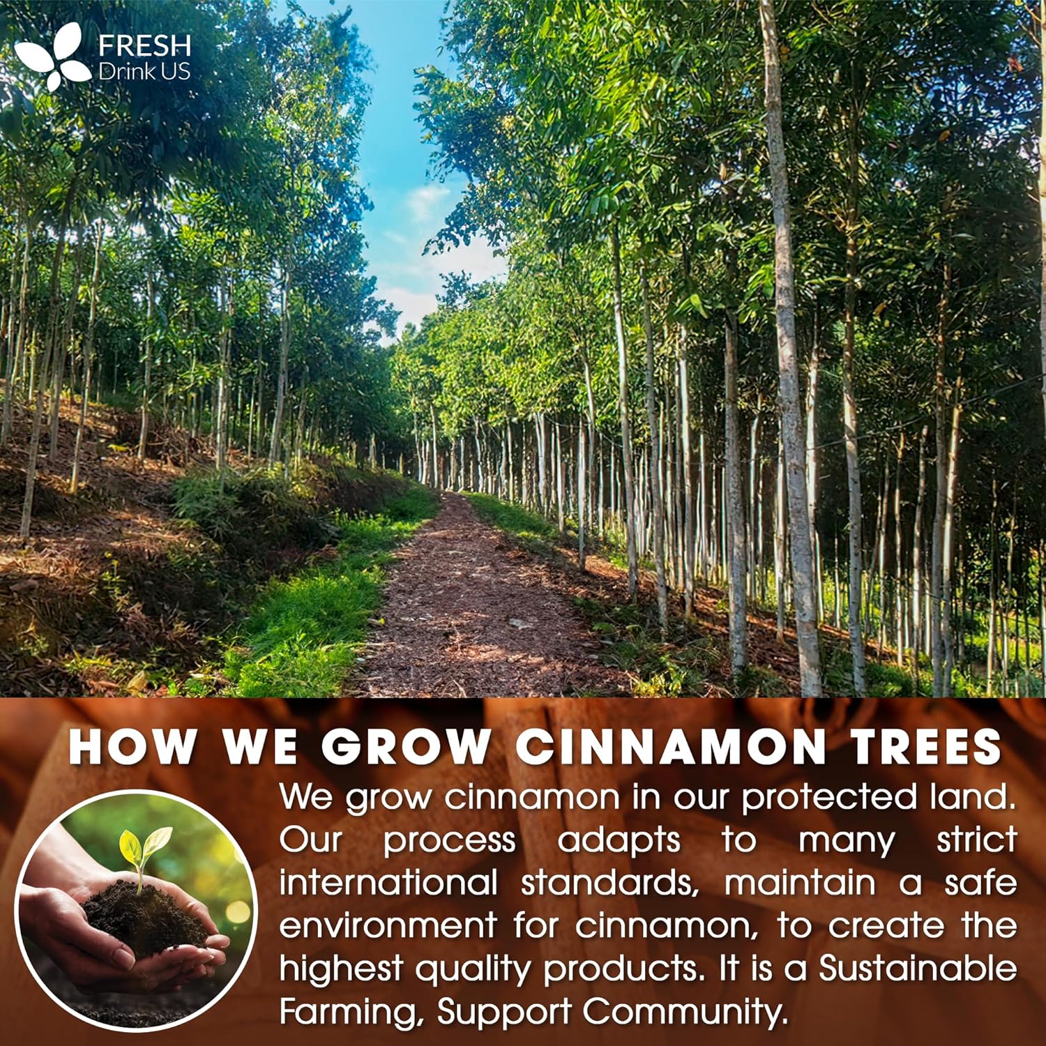 Cinnamon Sticks, Whole Sticks, 100% Natural & Pure Cinnamon Inner Bark, Raw Cinnamon Spice Flavor & Strong Aroma, Cinnamon Spice Herbal Tea, Perfect for Warm Beverages, No Additives, Vegan - Image 4
