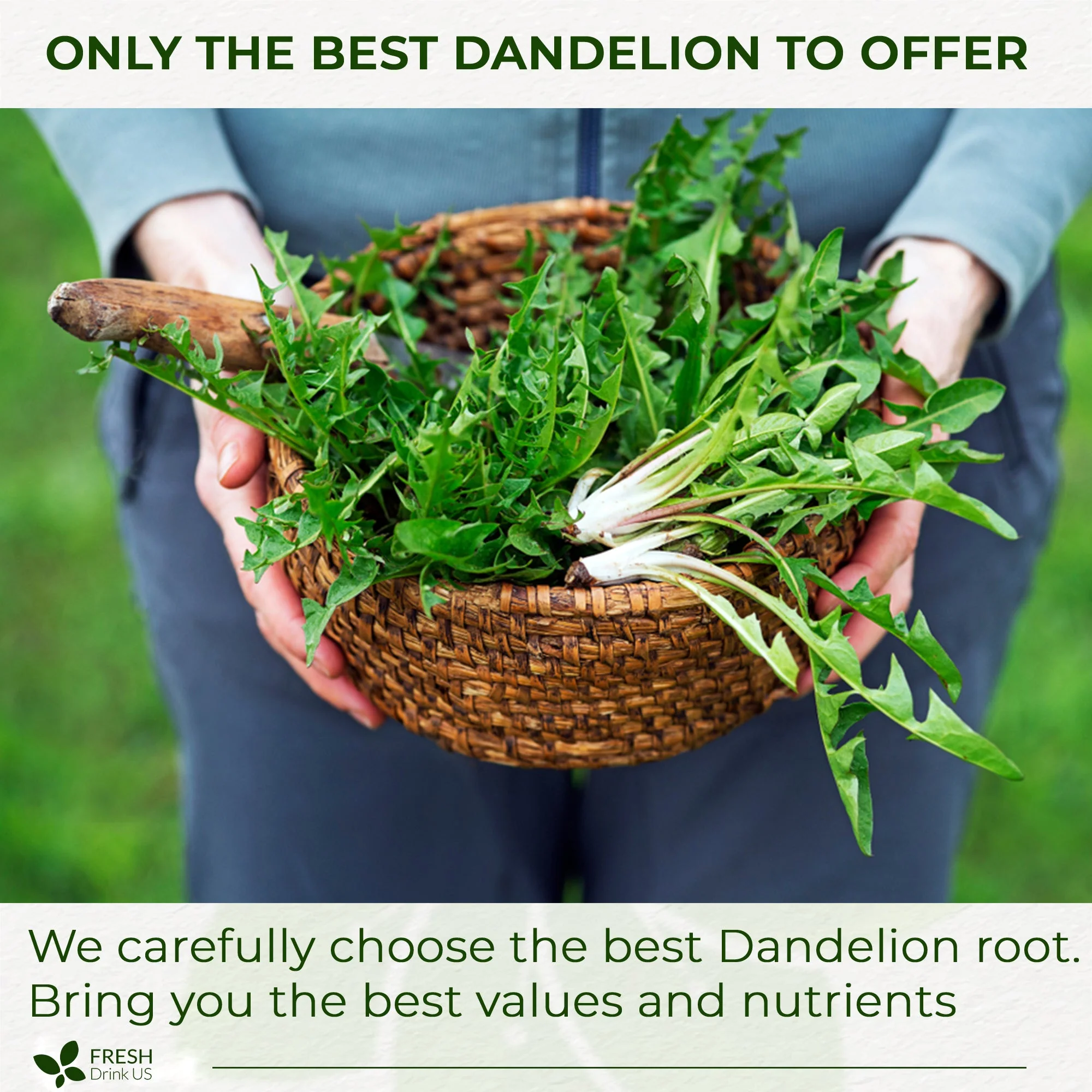 Dandelion Root Tea Bags, 100% Natural & Pure from Dandelion Root, Eco-Conscious Tea Bags, Dandelion Root Herbal Tea. Dandelion Root Tea. No Sugar, No Caffeine, No Gluten, Vegan. - Image 8