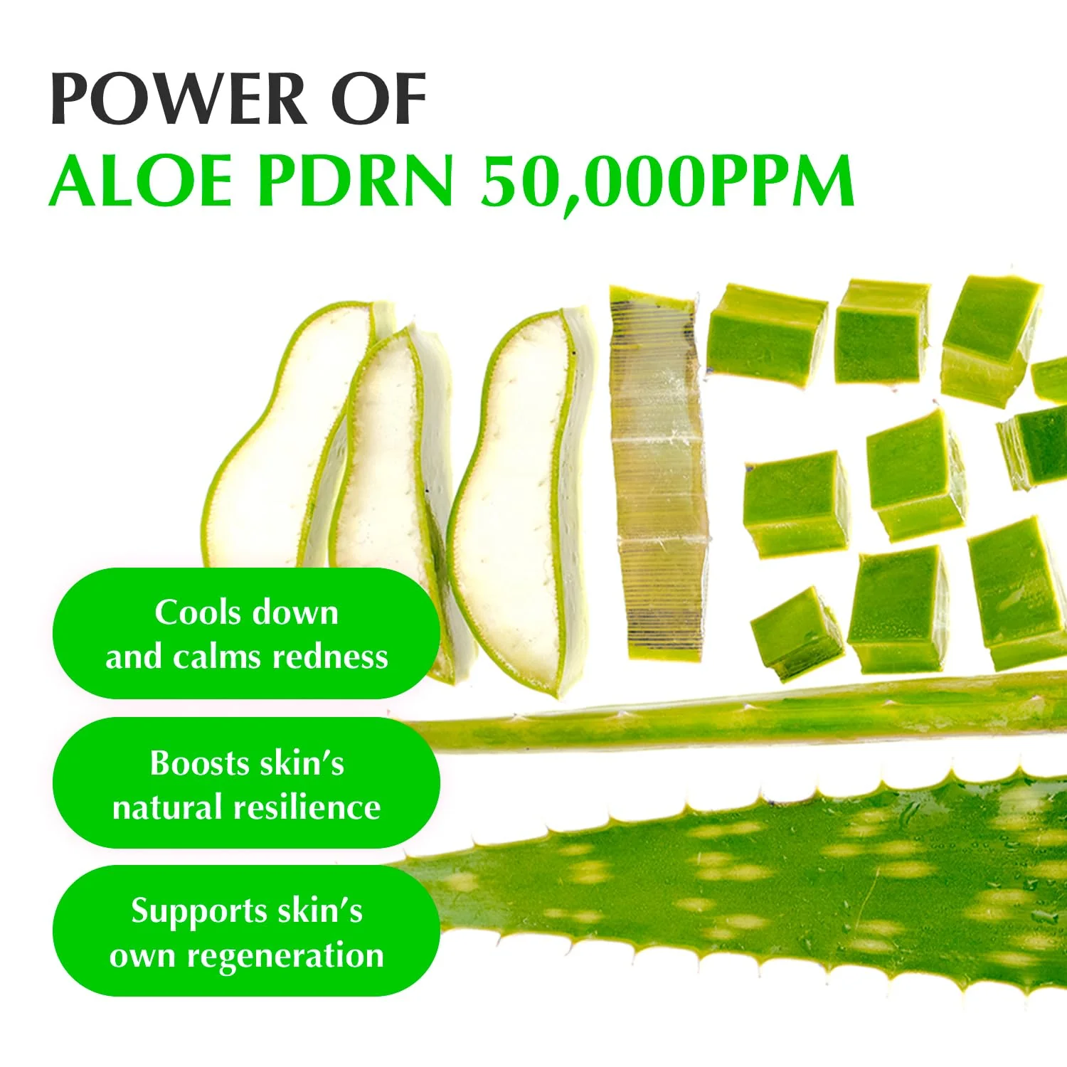 EQQUALBERRY Aloe PDRN Calming Serum - Image 3