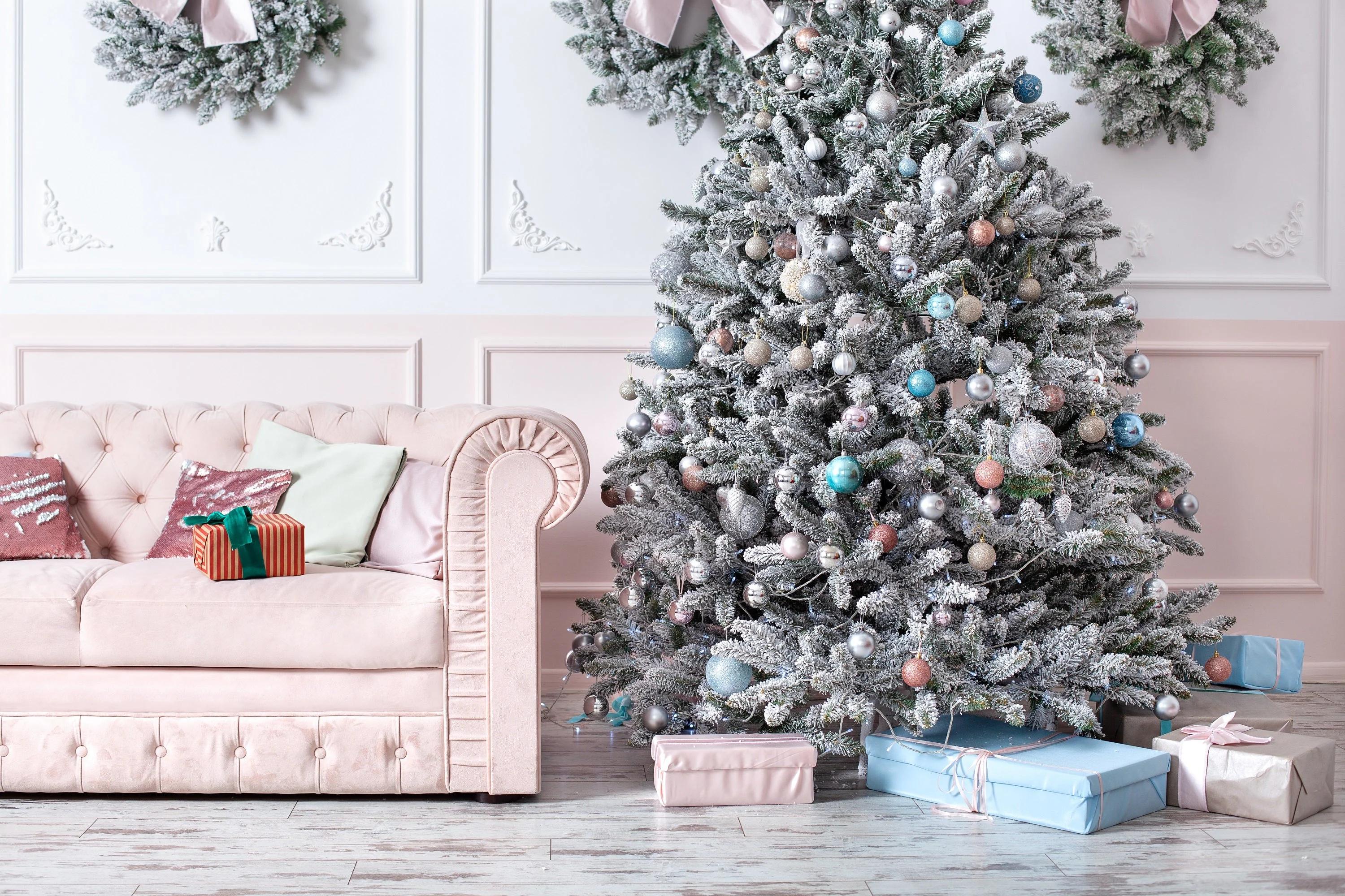 Grow Your Own CHRISTMAS TREE COLLECTION - 4 Gift Packets of Tree Seeds - Fraser Fir, Balsam Fir, Douglas Fir, & Blue Spruce + Free Gift Bag - Image 12
