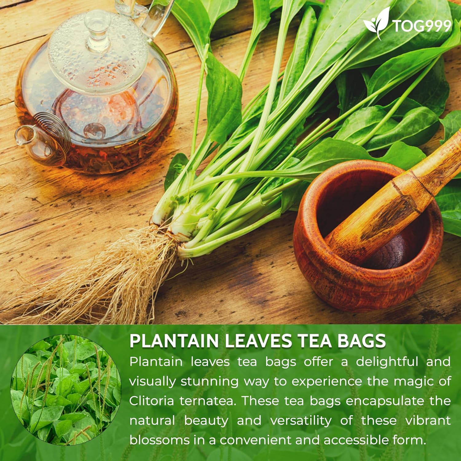 Plantain Leaf Tea Bags, 100% Natural & Pure Plantain Leaves. Loose Leaf Plantain Herbal Tea. Plantain Leaf Tea. No Sugar, No Caffeine, No Gluten, Vegan. - Image 9