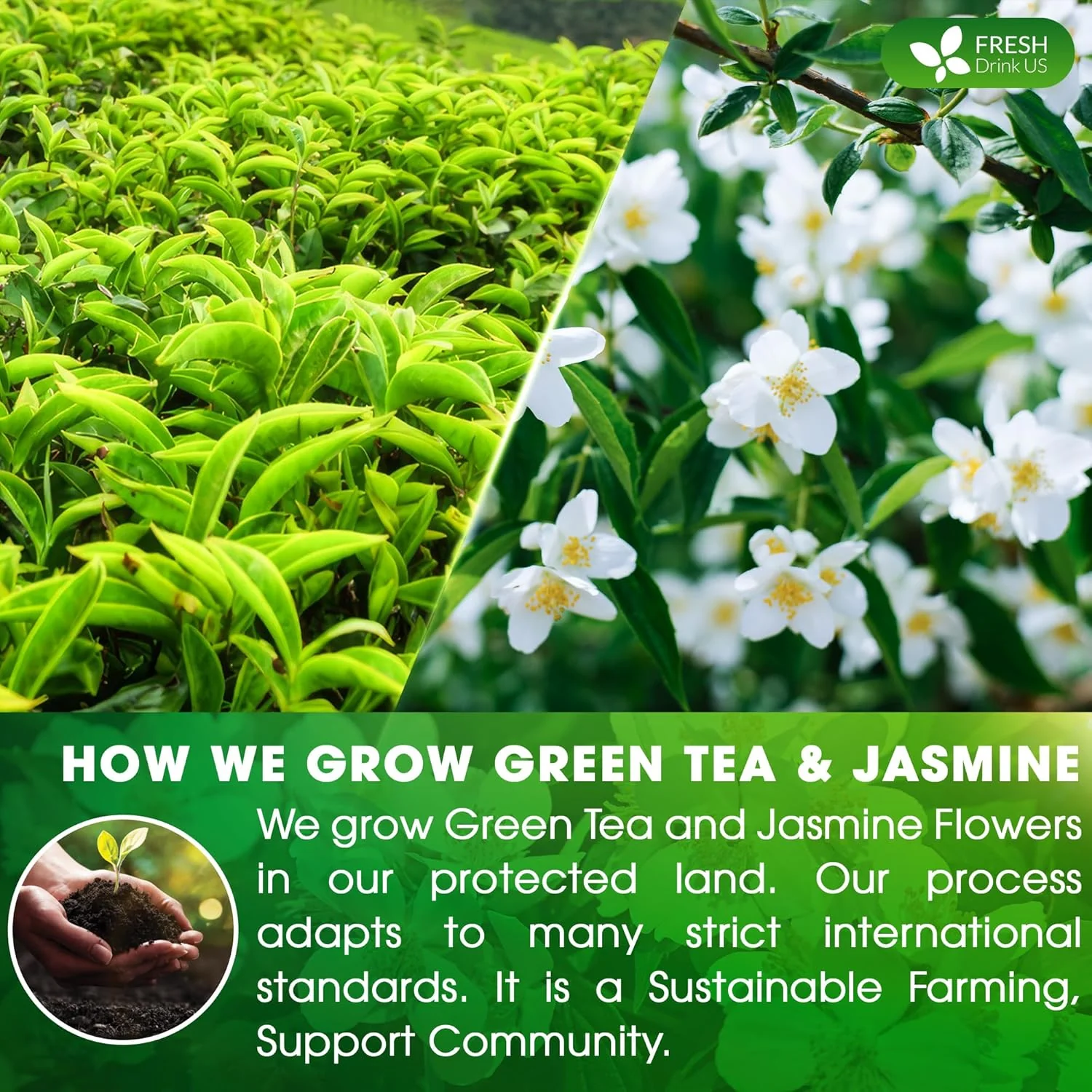 Premium Jasmine Green Tea Bags. Jasmine Green Herbal Tea. Made with Natural Material Tea Bags. No Sugar, No Gluten, Vegan. - Image 4
