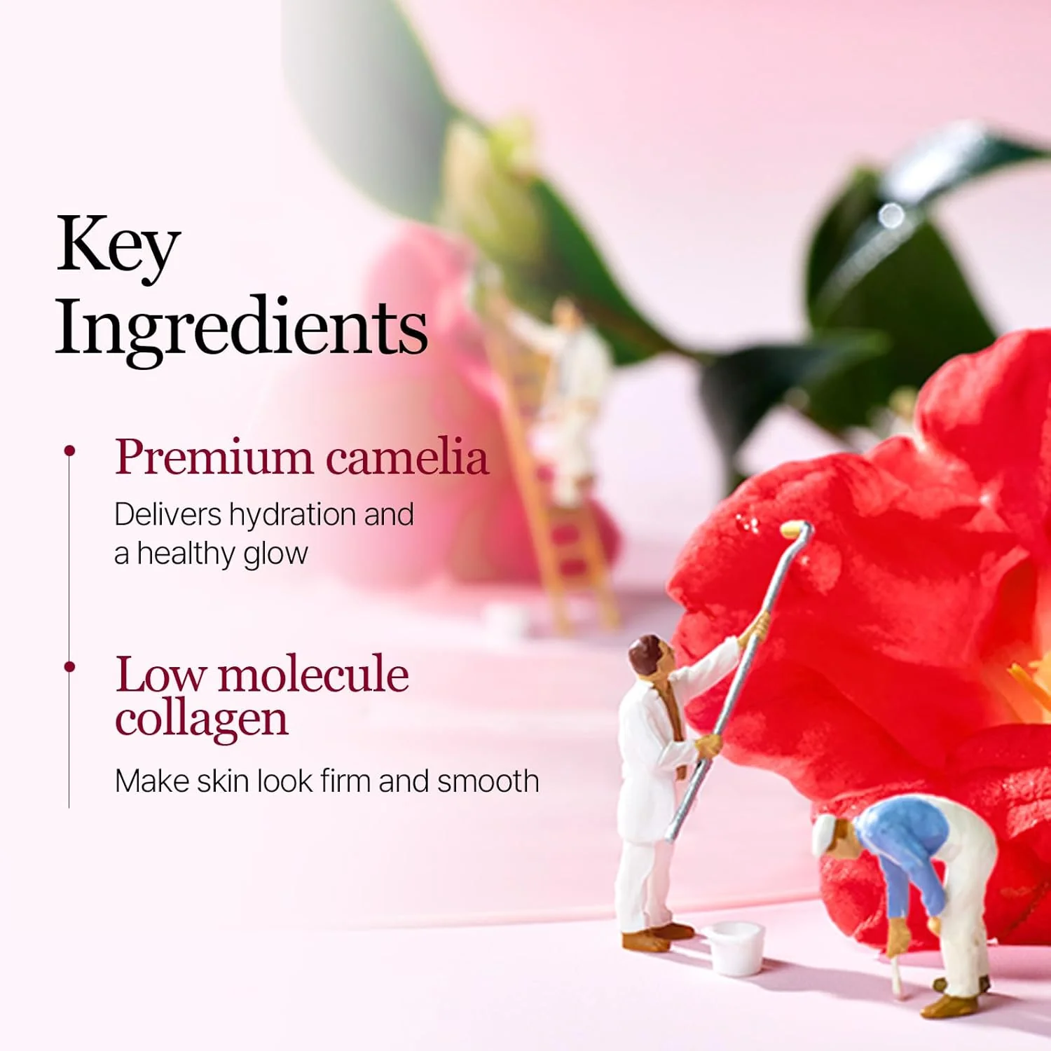 Round Lab Camellia Deep Collagen Firming Gel Mask - Image 4