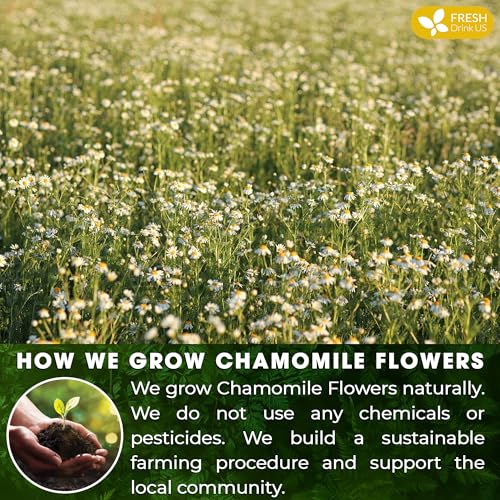 Smooth Sleep & Digest Duo, Chamomile Flower & Fennel Seed Herbal Tea Bags, 100% Natural & Pure Flowers and Seeds, Eco-Conscious & Biodegradable Tea Bags, No Sugar, No Caffeine, No Gluten, Vegan – Herbal Beverage - Image 5