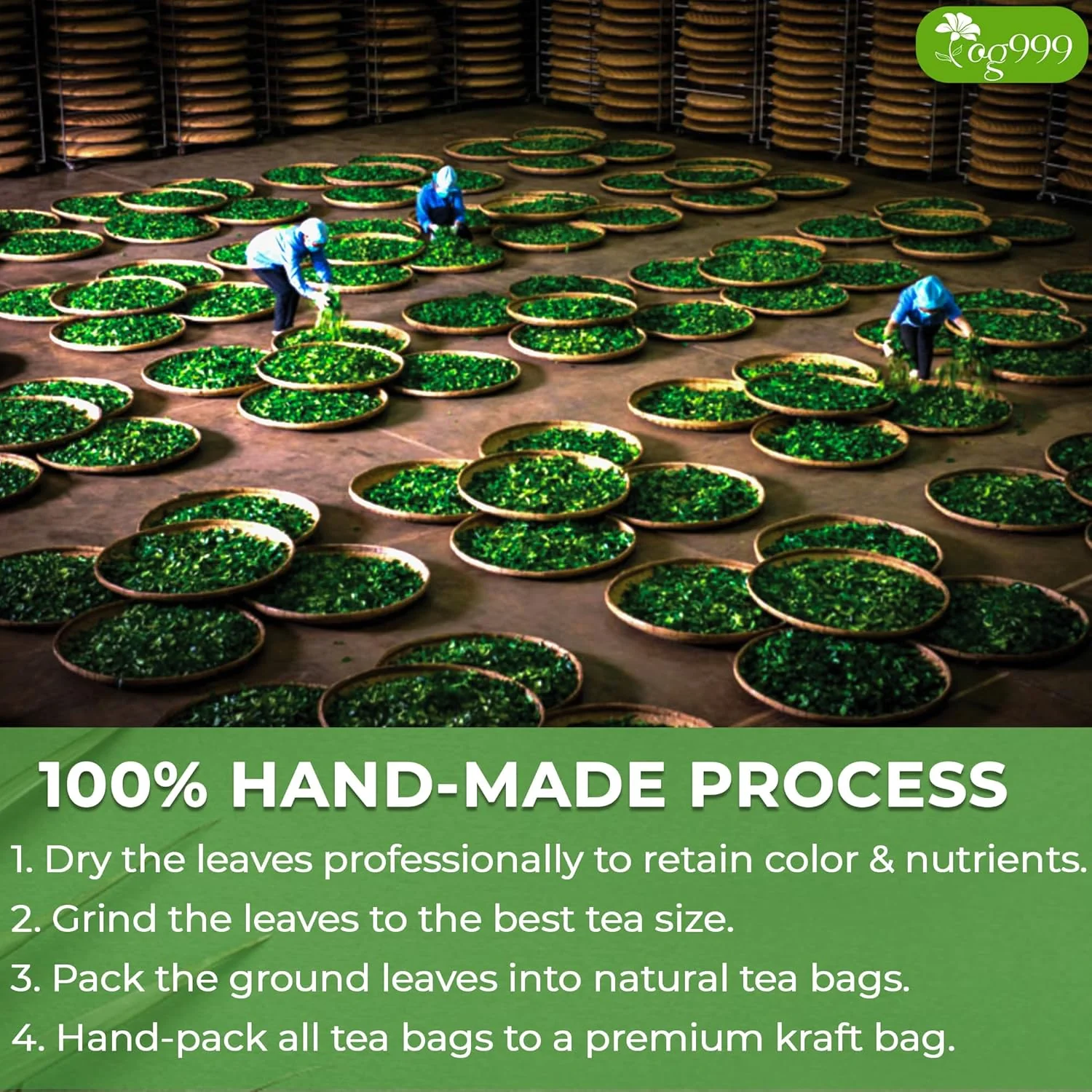TOG999, Premium 120 Moringa Leaf Tea Bags, 100% Natural & Pure from Moringa Leaves. Loose Leaf Moringa Herbal Tea. Moringa Leaf Tea. No Sugar, No Caffeine, No Gluten, Vegan. - Image 6