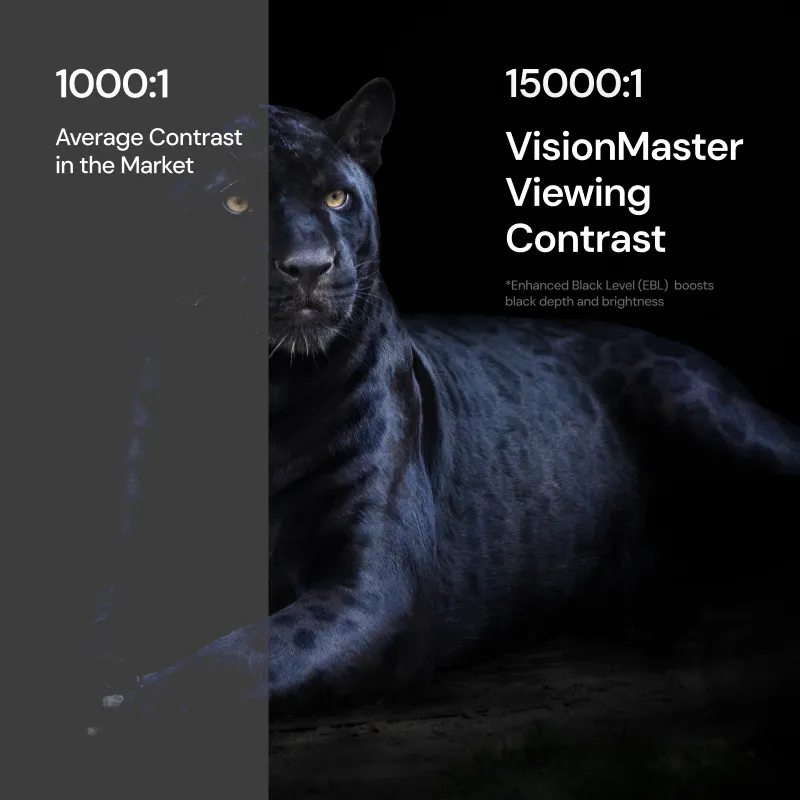 Valerion VisionMaster Pro 2 & Pro | 4K RGB Triple Laser Projector - Image 9