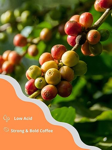 Vietnamese Coffee - Explore Your Taste- 3 in1 Instant Coffee, 20gr X 20 Bags (20 Packs) - Image 3