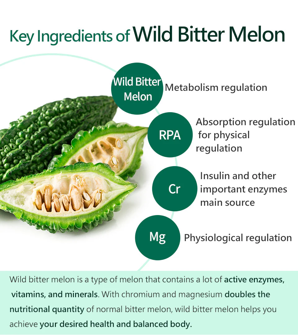 Wild Bitter Melon - 100% Natural Dehydrated (100g -3.5oz) - Image 4